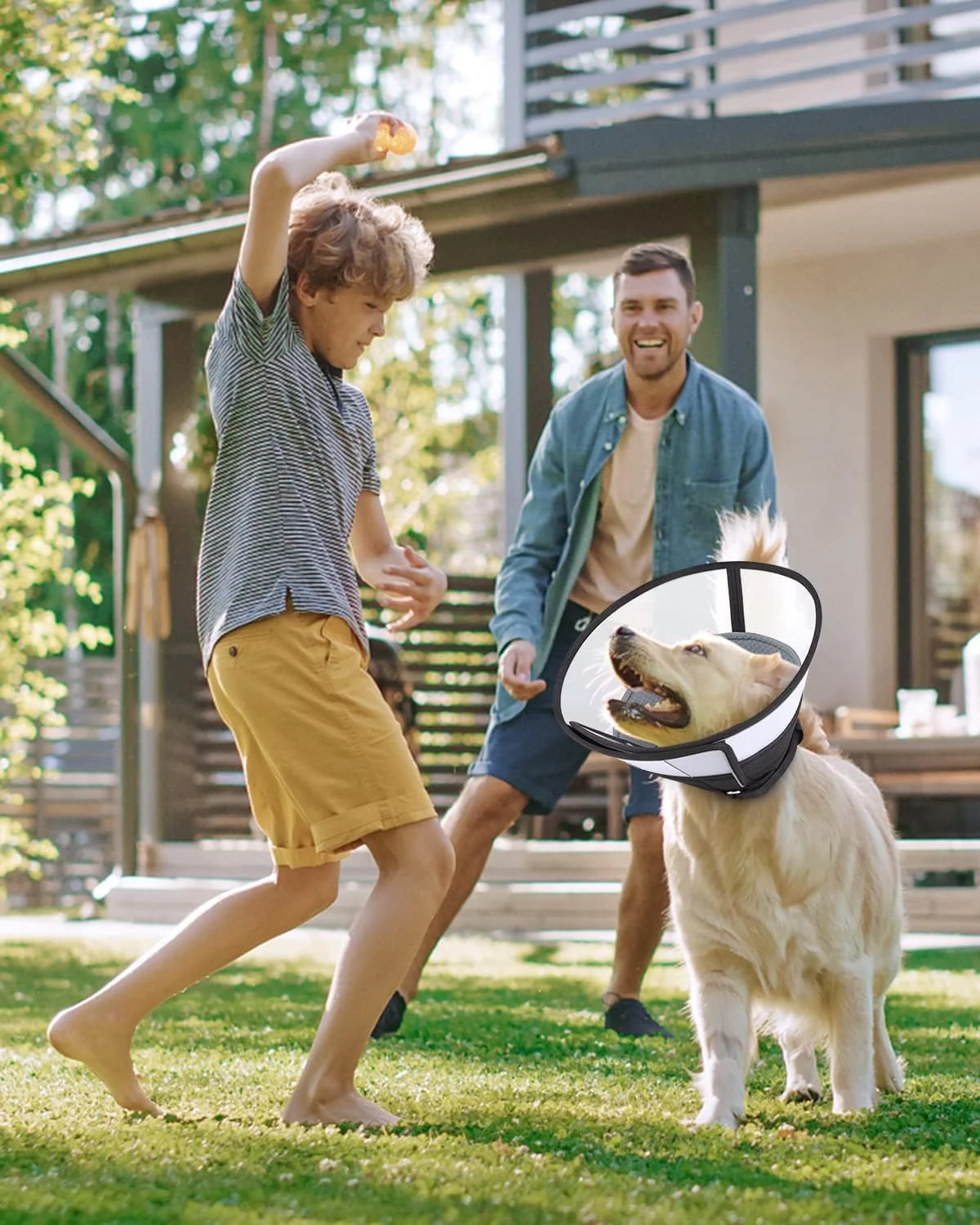 طوق محافظ سگ ROMANTIC BEAR سایز بزرگ، طوق نرم سگ با سگک قابل تنظیم، طوق الیزابتی ضد گاز گرفتن برای سگ و گربه، طوق گردنی راحت حیوانات خانگی بعد از جراحی (خاکستری، M)