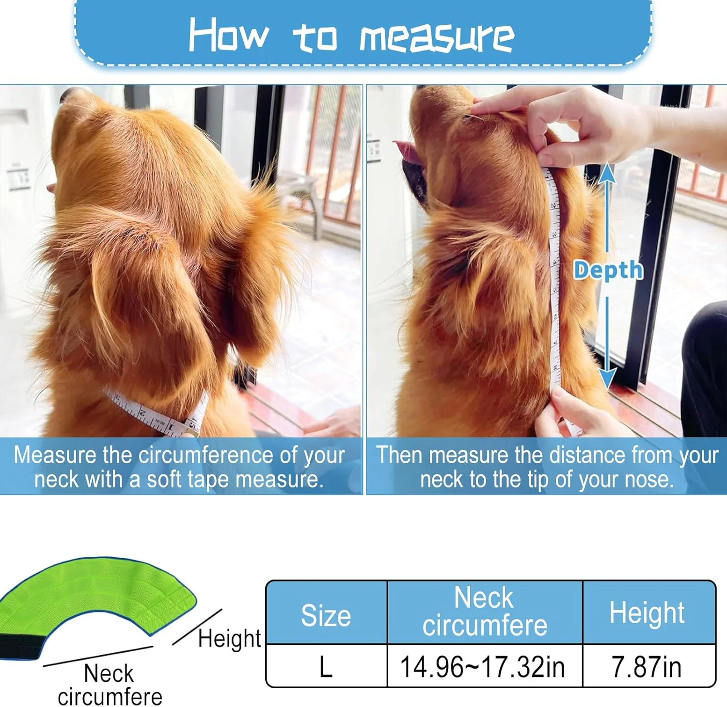 قلاده سگ، قلاده توری تنفسی سگ، ضد لیس، محافظت در برابر نشت برای حیوانات خانگی قلاده الیزابتی (L، سبز و آبی) قلاده سگ، قلاده توری تنفسی سگ، ضد لیس، محافظت در برابر نشت برای حیوانات خانگی قلاده الیزابتی (L، سبز و آبی)