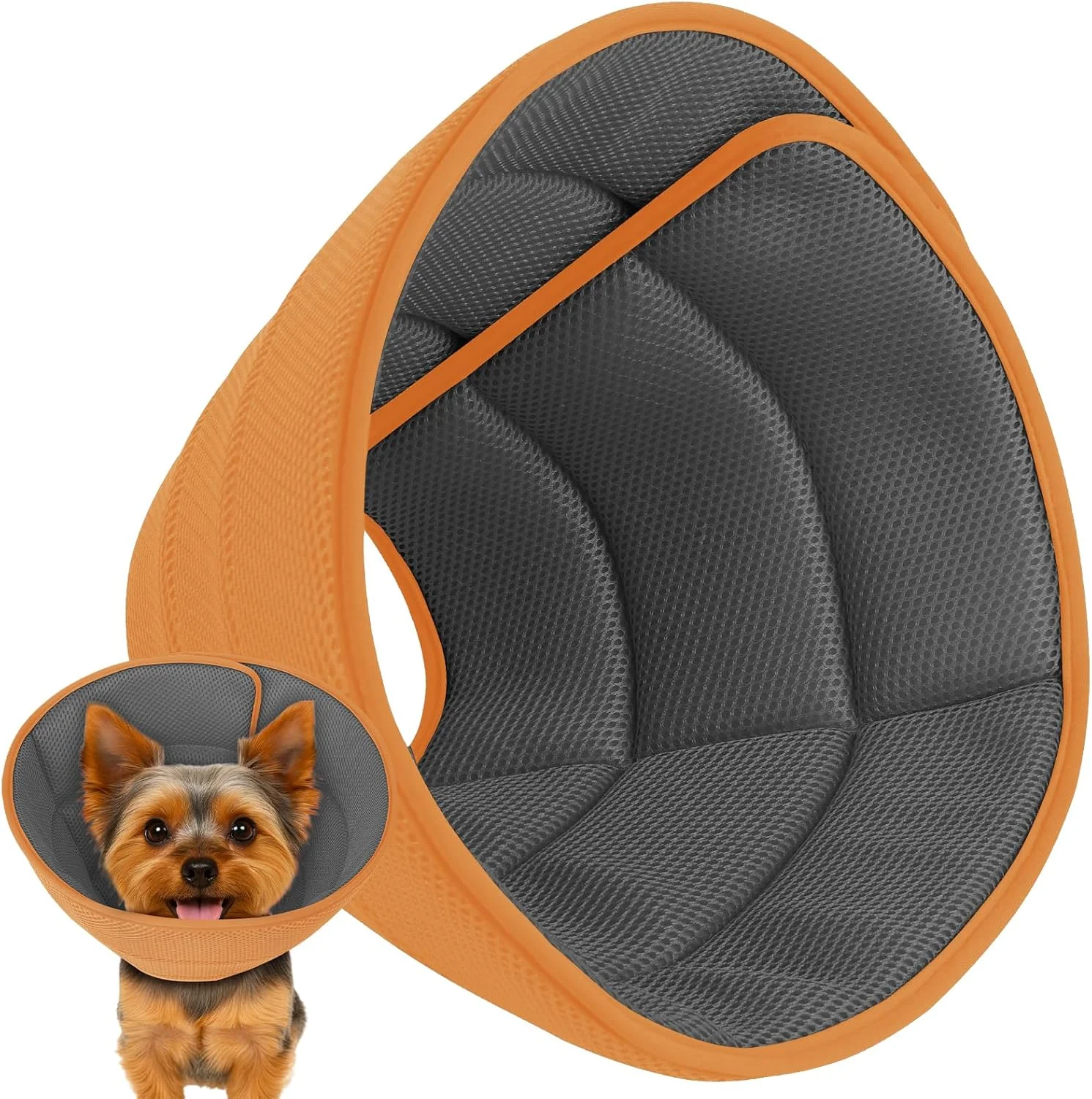 طوق الیزابت سگ QUI-Dog پارچه خالص - S - مشکی طلایی طوق الیزابت سگ QUI-Dog پارچه خالص - S - مشکی طلایی