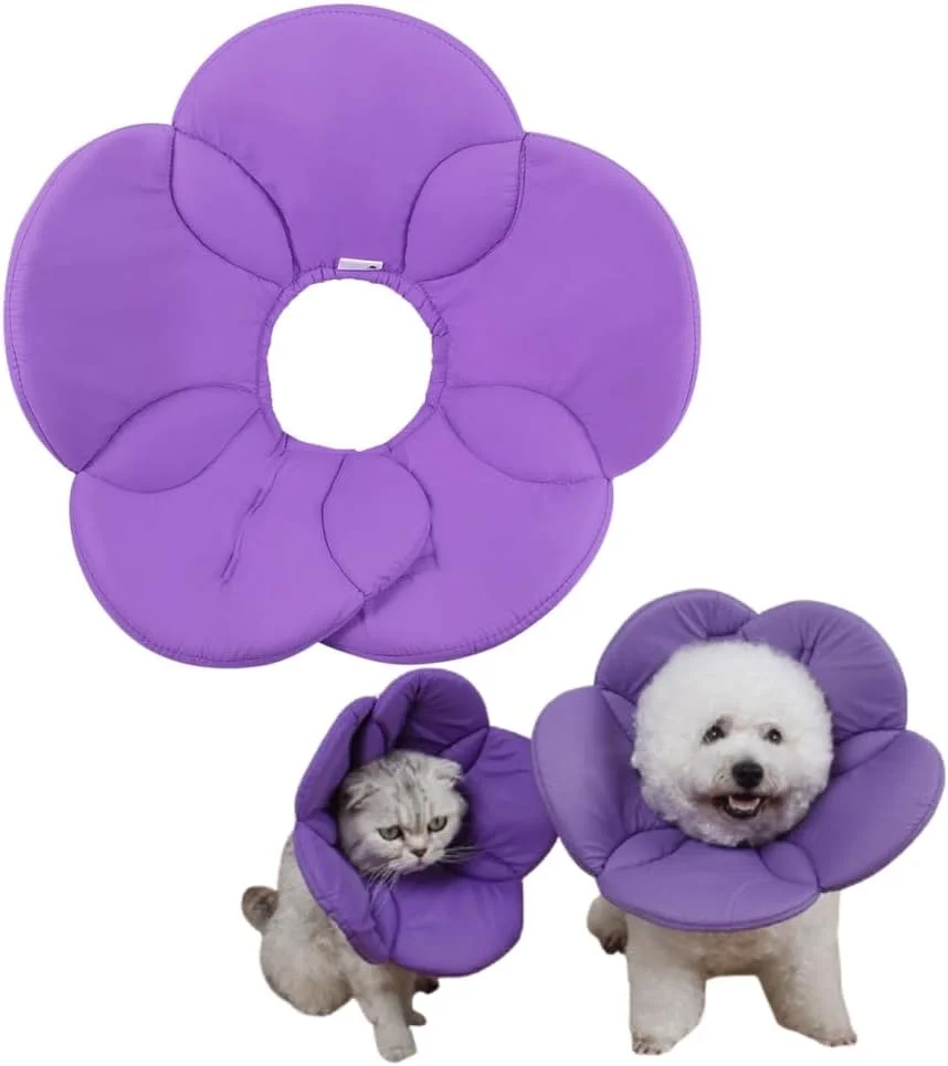 طوق گردنی حیوانات خانگی طرح گل پاپت پاپ، سایز XL، جلوگیری از گاز گرفتن، آسیب ها، جوش ها، گردنبند حیوانات خانگی طوق گردنی حیوانات خانگی طرح گل پاپت پاپ، سایز XL، جلوگیری از گاز گرفتن، آسیب ها، جوش ها، گردنبند حیوانات خانگی