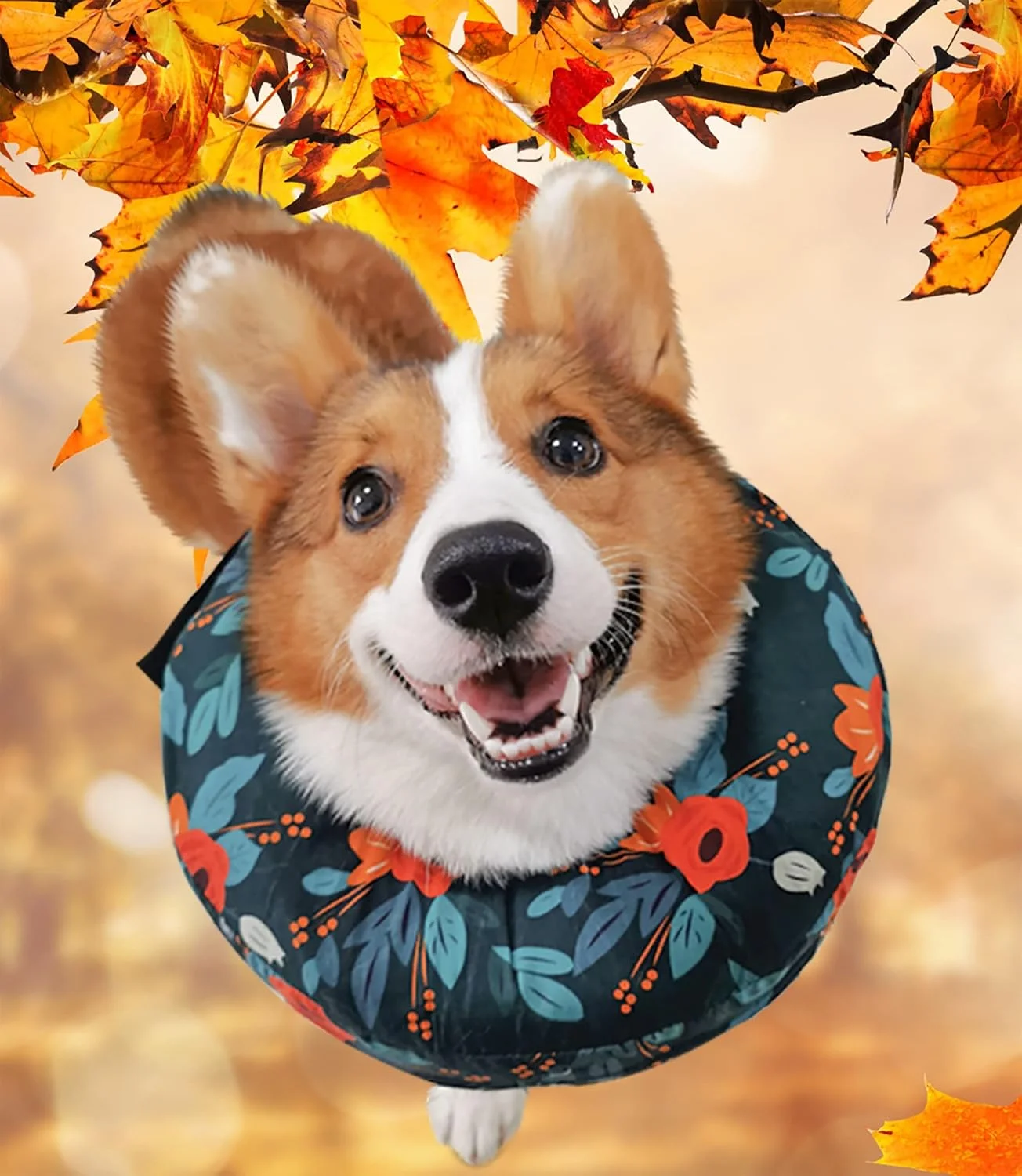 قلاده بادی محافظتی برای سگ و گربه - قلاده نرم التیام حیوانات خانگی که مانع دید نمی شود، از تماس حیوانات خانگی با بخیه ها، زخم ها و جوش ها جلوگیری می کند (گردن: 33 - 43 سانتی متر) قلاده بادی محافظتی برای سگ و گربه - قلاده نرم التیام حیوانات خانگی که مانع دید نمی شود، از تماس حیوانات خانگی با بخیه ها، زخم ها و جوش ها جلوگیری می کند (گردن: 33 - 43 سانتی متر)