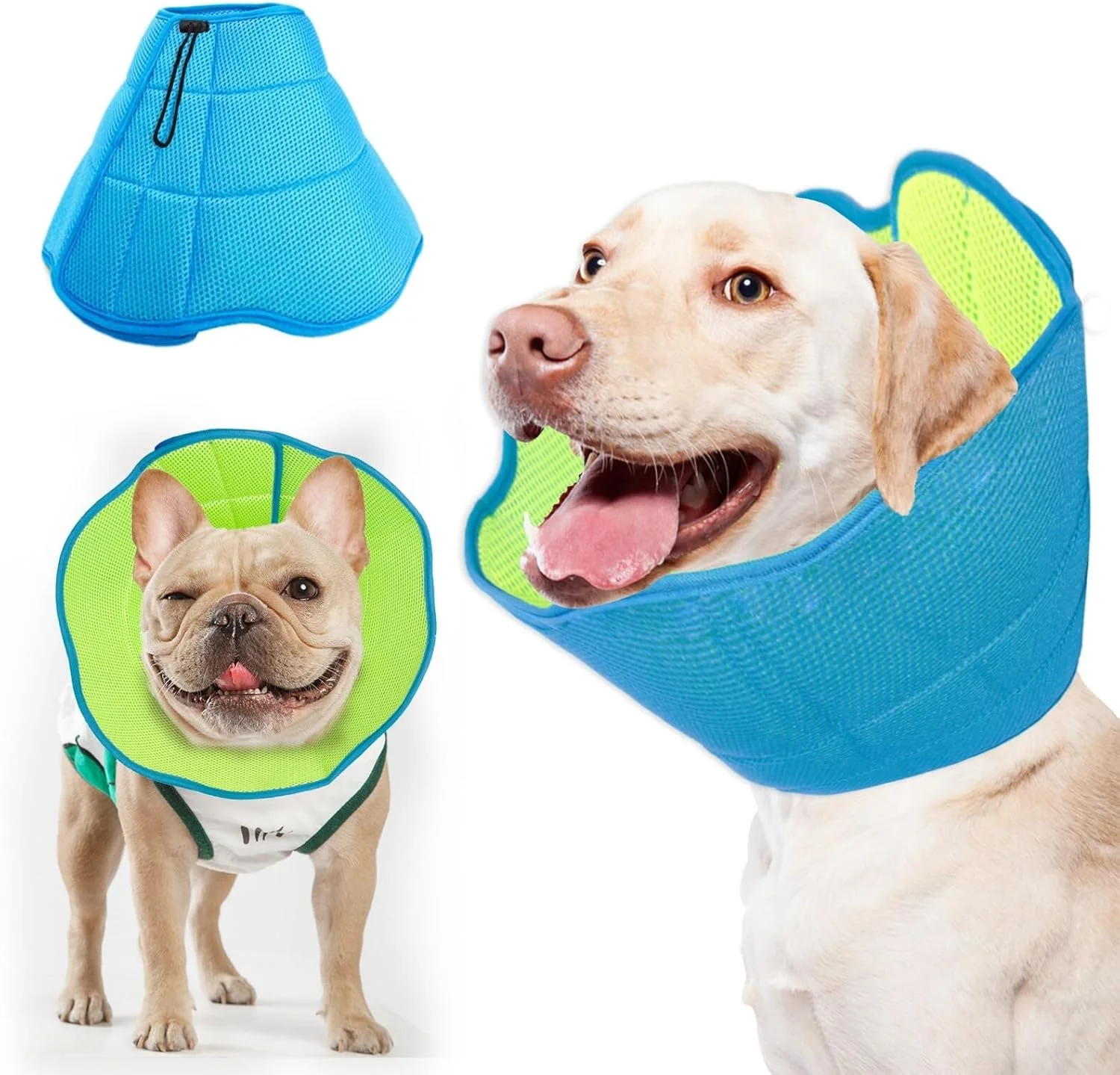 طوق محافظ نرم برای گربه و سگ های مینیاتوری، جایگزینی برای بعد از جراحی، طوق و مخروطی ریکاوری راحت و قابل تنظیم برای جلوگیری از لیسیدن، جایگزین طوق الیزابتی حیوانات خانگی - آبی سبز (XS) طوق محافظ نرم برای گربه و سگ های مینیاتوری، جایگزینی برای بعد از جراحی، طوق و مخروطی ریکاوری راحت و قابل تنظیم برای جلوگیری از لیسیدن، جایگزین طوق الیزابتی حیوانات خانگی - آبی سبز (XS)