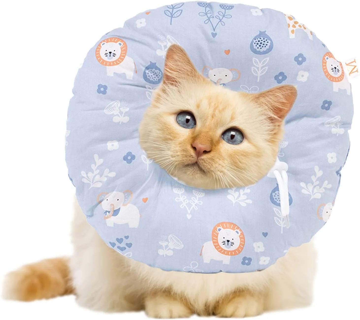 طوق گردنی محافظ حیوانات خانگی، طوق محافظ حیوانات خانگی، طوق نرم و قابل تنظیم برای دوران نقاهت حیوانات خانگی با اندازه 16-29 سانتی متر، حرکت آزادانه، ضد لیسیدن و گاز گرفتن، مناسب برای حیوانات خانگی مانند گربه و سگ بعد از جراحی (بنفش) طوق گردنی محافظ حیوانات خانگی، طوق محافظ حیوانات خانگی، طوق نرم و قابل تنظیم برای دوران نقاهت حیوانات خانگی با اندازه 16-29 سانتی متر، حرکت آزادانه، ضد لیسیدن و گاز گرفتن، مناسب برای حیوانات خانگی مانند گربه و سگ بعد از جراحی (بنفش)