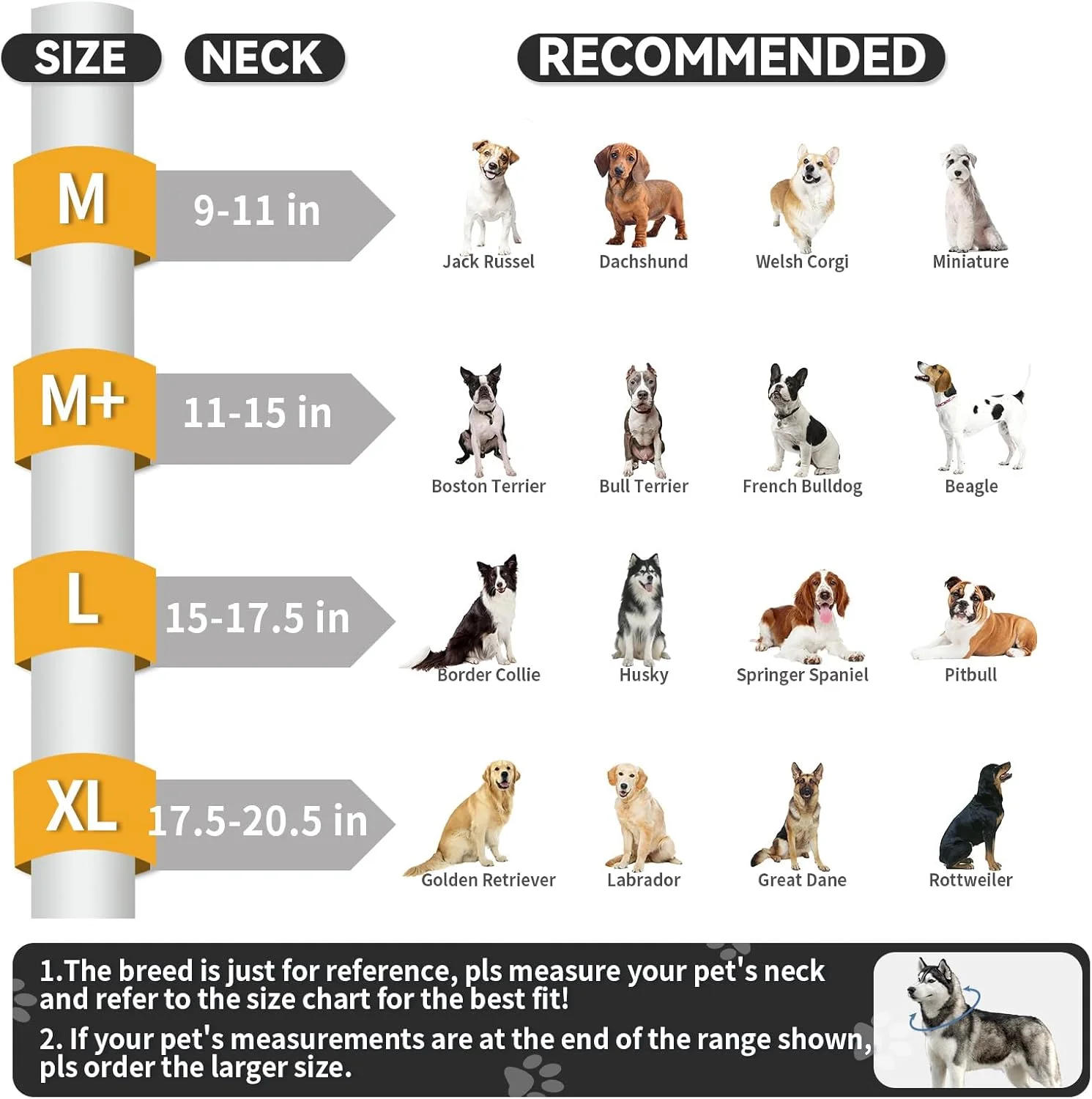 طوق گردنی بادی سگ برای بعد از جراحی، طوق ریکاوری ارتقا یافته دو حلقه ای برای سگ های بزرگ و متوسط با محافظ ضد لیس جداشدنی، طوق دونات سگ قابل تنظیم (M+، خاکستری، ثبت شده) طوق گردنی بادی سگ برای بعد از جراحی، طوق ریکاوری ارتقا یافته دو حلقه ای برای سگ های بزرگ و متوسط با محافظ ضد لیس جداشدنی، طوق دونات سگ قابل تنظیم (M+، خاکستری، ثبت شده)