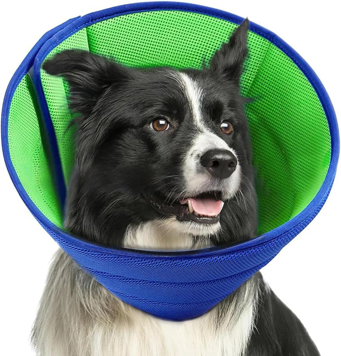 طوق گردنی نرم سگ، طوق باستِر قابل تنظیم برای سگ ها و گربه ها، طوق تنفسی برای دوران نقاهت بعد از جراحی، طوق پزشکی ضد لیسیدن برای حیوانات خانگی کوچک تا بزرگ (آبی، L)