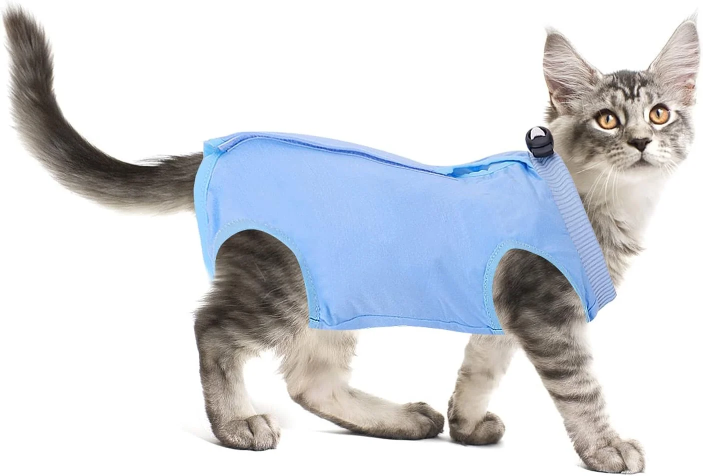 لباس ریکاوری حرفه ای گربه Molain - مناسب برای زخم های شکمی یا بیماری های پوستی بعد از جراحی، جایگزین قلاده الیزابت، لباس ضد لیسیدن برای بچه گربه ها (آبی، سایز L) لباس ریکاوری حرفه ای گربه Molain - مناسب برای زخم های شکمی یا بیماری های پوستی بعد از جراحی، جایگزین قلاده الیزابت، لباس ضد لیسیدن برای بچه گربه ها (آبی، سایز L)