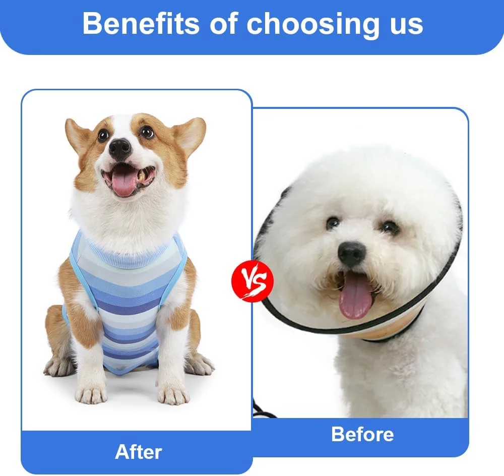 لباس محافظ سگ بعد از جراحی، لباس محافظ زخم بدن سگ، جایگزین قلاده الیزابت بعد از جراحی، لباس ریکاوری سگ، لباس ریکاوری جراحی حیوانات خانگی برای سگ ها، 8-12 کیلوگرم (سایز L)