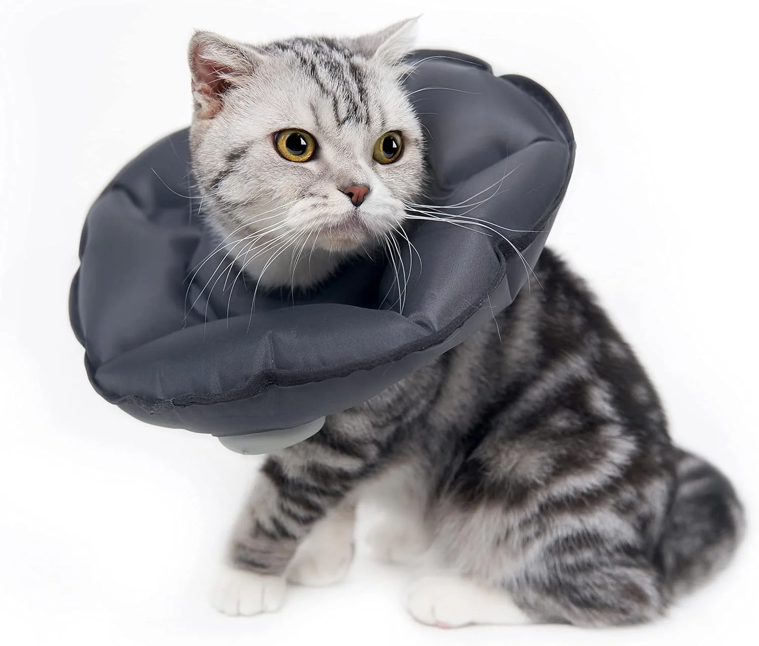 طوق گردنی بادی گربه MayMaw، طوق التیام بخش نرم و قابل تنظیم برای بعد از جراحی، جایگزینی برای جلوگیری از لیسیدن و گاز گرفتن زخم، طوق سبک و تاشو برای گربه ها و بچه گربه ها