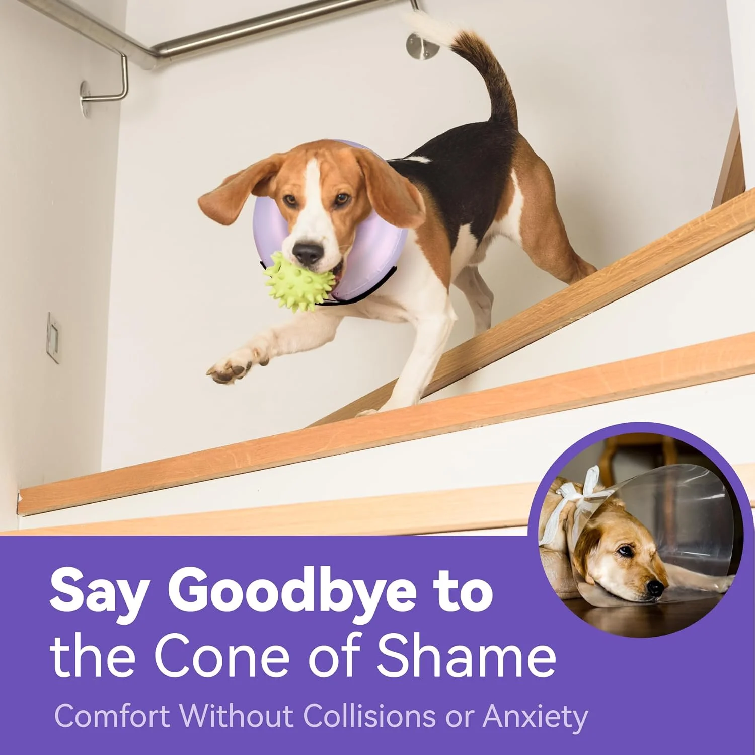 طوق گردنی محافظ حیوانات خانگی