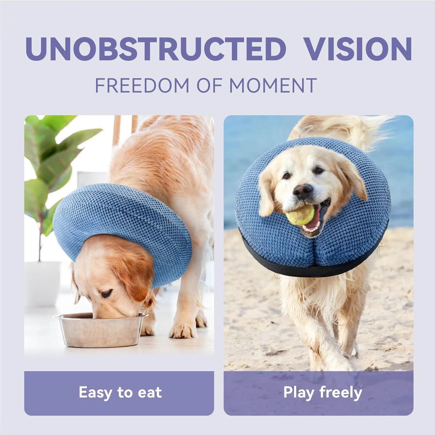 طوق بادی سگ - جایگزین طوق گردنی سگ بعد از جراحی - طوق نرم برای سگ های بزرگ، متوسط و کوچک و گربه ها - طوق ریکاوری جایگزین (آبی، بزرگ) طوق بادی سگ - جایگزین طوق گردنی سگ بعد از جراحی - طوق نرم برای سگ های بزرگ، متوسط و کوچک و گربه ها - طوق ریکاوری جایگزین (آبی، بزرگ)