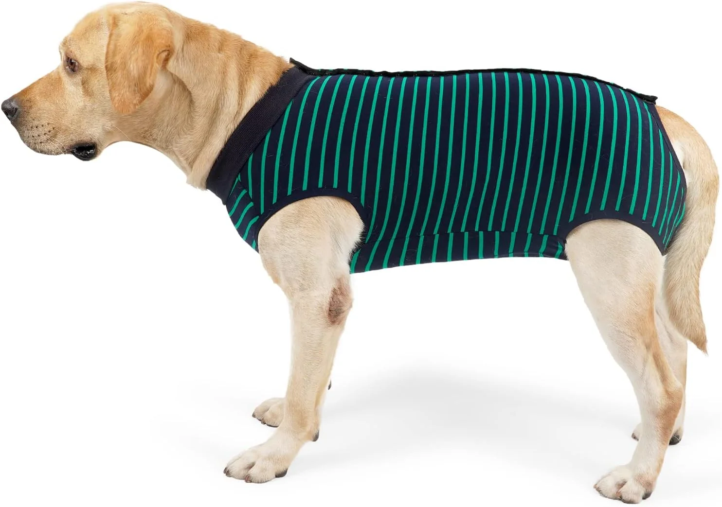 لباس محافظ بعد از عمل سگ LIANZIMAU، لباس پزشکی برای سگ های نر و ماده