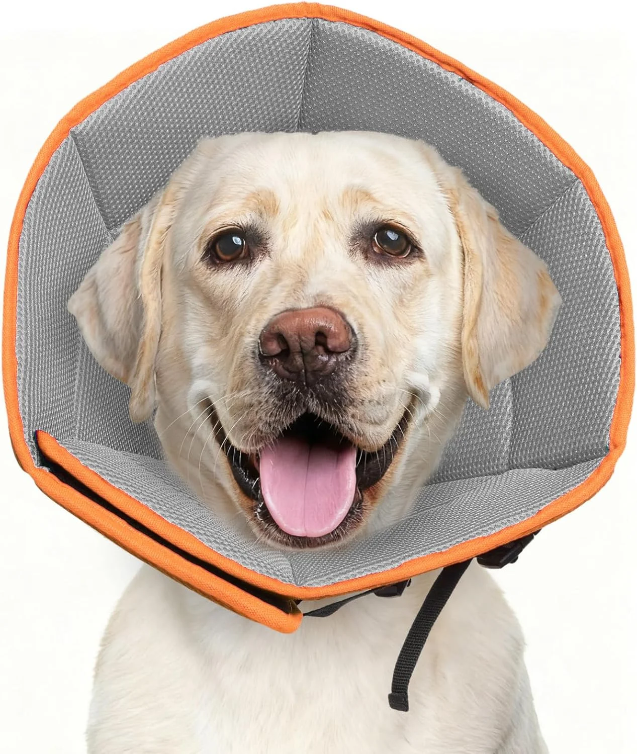 طوق محافظ سگ سایز بزرگ، طوق های نرم برای سگ های بزرگ، متوسط و کوچک، طوق جایگزین قابل تنظیم برای جلوگیری از لیسیدن، طوق الیزابتی راحت برای التیام زخم بعد از جراحی و نقاط داغ - نارنجی طوق محافظ سگ سایز بزرگ، طوق های نرم برای سگ های بزرگ، متوسط و کوچک، طوق جایگزین قابل تنظیم برای جلوگیری از لیسیدن، طوق الیزابتی راحت برای التیام زخم بعد از جراحی و نقاط داغ - نارنجی