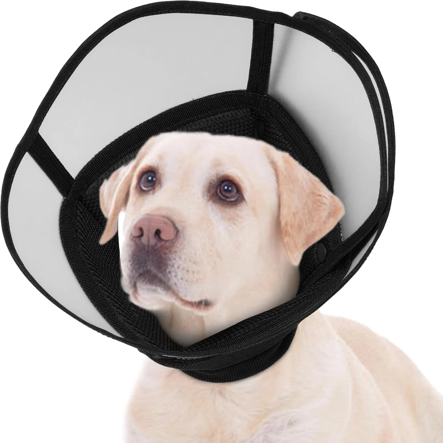 طوق گردنی نرم سگ، طوق الیزابتی قابل تنظیم برای سگ های بزرگ و کوچک، جلوگیری از لیسیدن، گاز گرفتن و خراشیدن بعد از جراحی، سایز XL مشکی