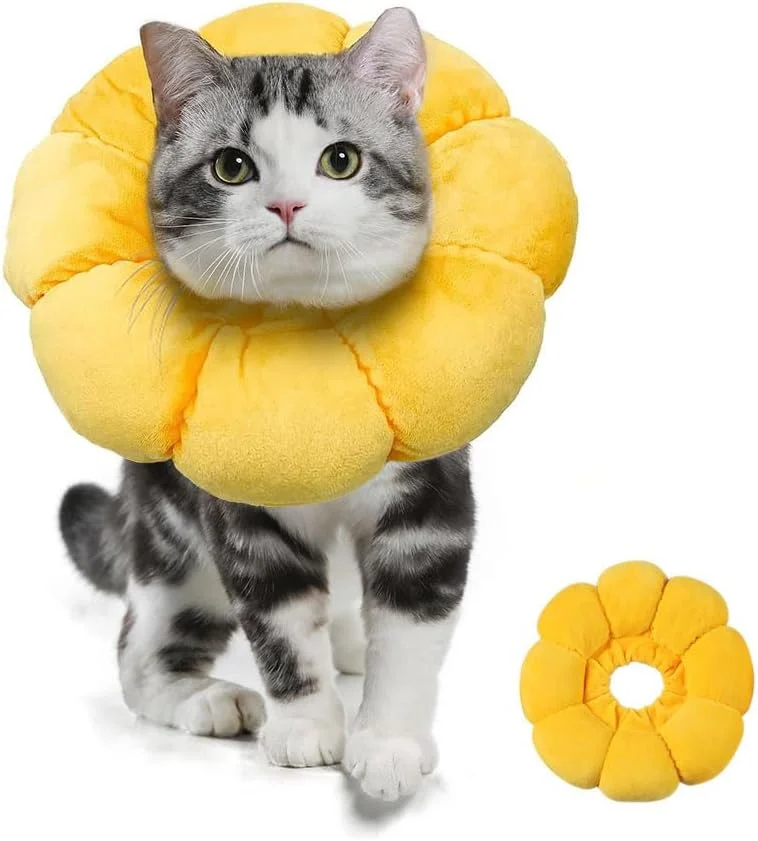 یقه محافظ گربه طرح آفتابگردان، یقه محافظ قابل تنظیم برای گربه ها، سگ های کوچک، بهبود زخم بعد از جراحی حیوانات خانگی (L) یقه محافظ گربه طرح آفتابگردان، یقه محافظ قابل تنظیم برای گربه ها، سگ های کوچک، بهبود زخم بعد از جراحی حیوانات خانگی (L)