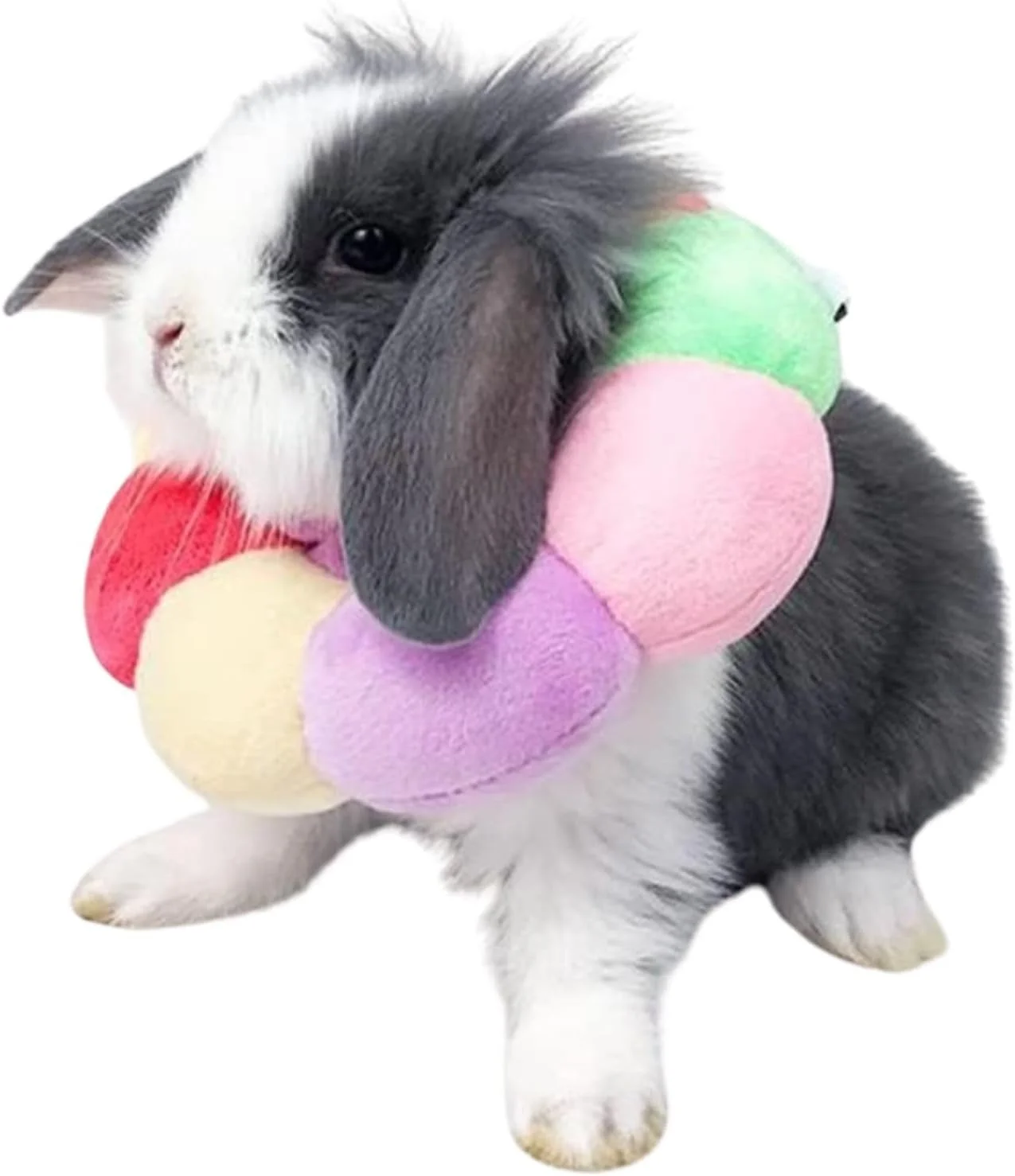 طوق محافظ خرگوش، طوق گردنی نرم و قابل تنظیم برای بهبودی حیوانات خانگی مانند خرگوش/چینچیلا/خوکچه هندی/بچه گربه بعد از جراحی و التیام زخم، طوق الیزابت برای حیوانات کوچک (S) طوق محافظ خرگوش، طوق گردنی نرم و قابل تنظیم برای بهبودی حیوانات خانگی مانند خرگوش/چینچیلا/خوکچه هندی/بچه گربه بعد از جراحی و التیام زخم، طوق الیزابت برای حیوانات کوچک (S)