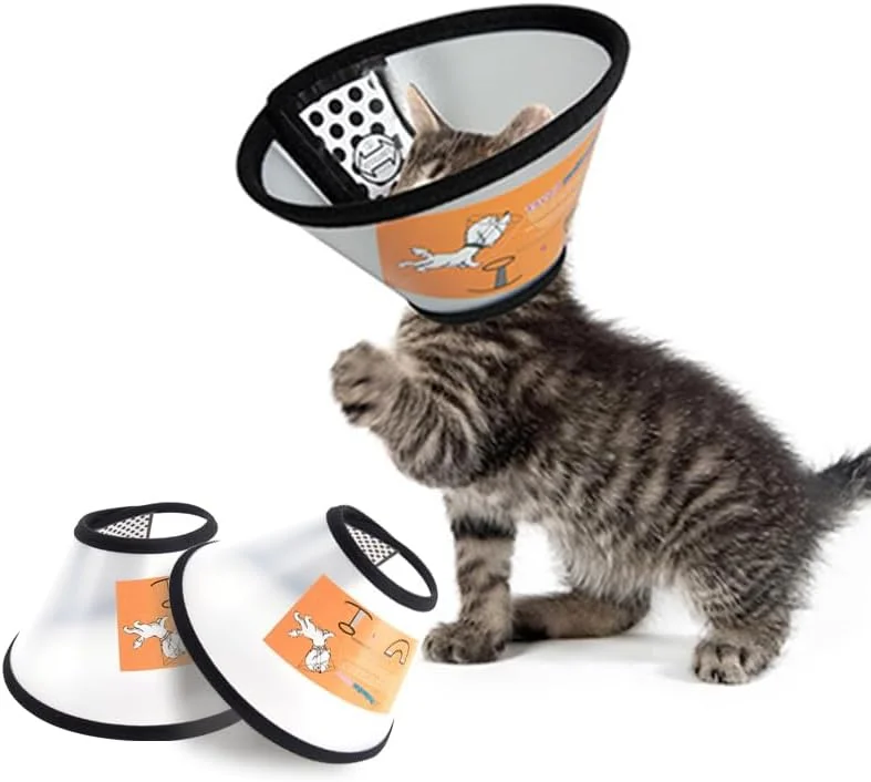 طوق گردنی سگ و گربه کوچک 3 عددی، طوق های ریکاوری قابل تنظیم حیوانات خانگی، طوق الیزابتی پلاستیکی نرم برای سگ، طوق گردنی سگ بعد از جراحی، طوق شفاف گربه برای جلوگیری از لیسیدن (15-18 سانتی متر) طوق گردنی سگ و گربه کوچک 3 عددی، طوق های ریکاوری قابل تنظیم حیوانات خانگی، طوق الیزابتی پلاستیکی نرم برای سگ، طوق گردنی سگ بعد از جراحی، طوق شفاف گربه برای جلوگیری از لیسیدن (15-18 سانتی متر)