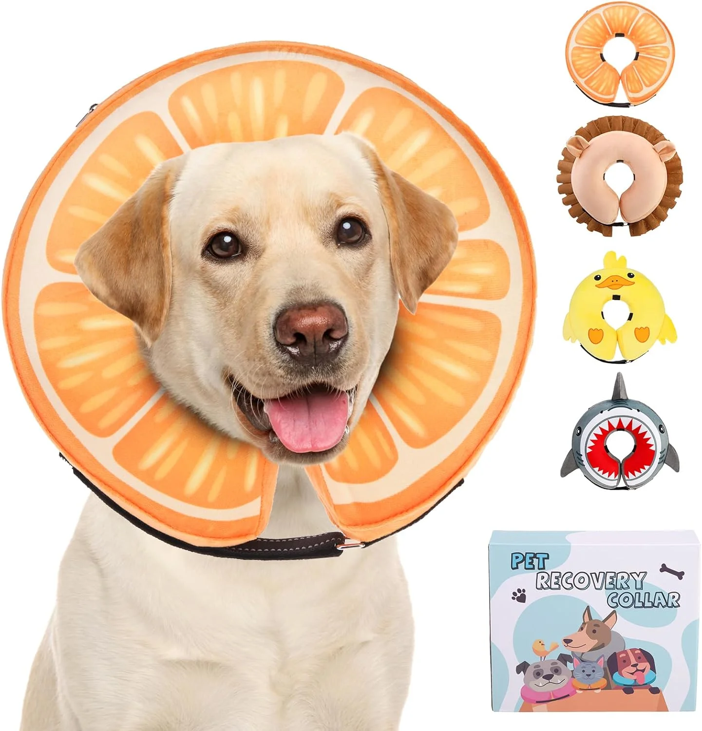 طوق گردنی بادی سگ KOOLTAIL، طوق نرم و راحت برای سگ های کوچک، متوسط و بزرگ، طوق گردنی قابل تنظیم برای سگ ها و گربه ها بعد از جراحی، طوق بهبودی با قابلیت ضد لیسیدن پیشرفته، نارنجی L طوق گردنی بادی سگ KOOLTAIL، طوق نرم و راحت برای سگ های کوچک، متوسط و بزرگ، طوق گردنی قابل تنظیم برای سگ ها و گربه ها بعد از جراحی، طوق بهبودی با قابلیت ضد لیسیدن پیشرفته، نارنجی L
