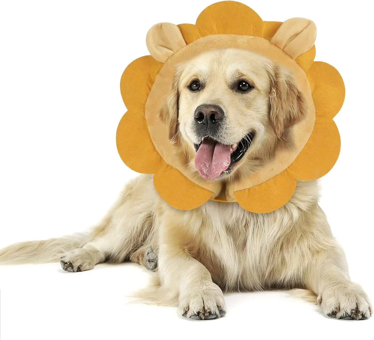 طوق گردنی بادی سگ IEUUMLER، طوق محافظتی دوناتی، طوق نرم قابل تنظیم برای سگ و گربه بعد از عمل جراحی، جلوگیری از گاز گرفتن و خراشیدن EU002 (M (گردن: 9"-13")، شیر قهوه ای)