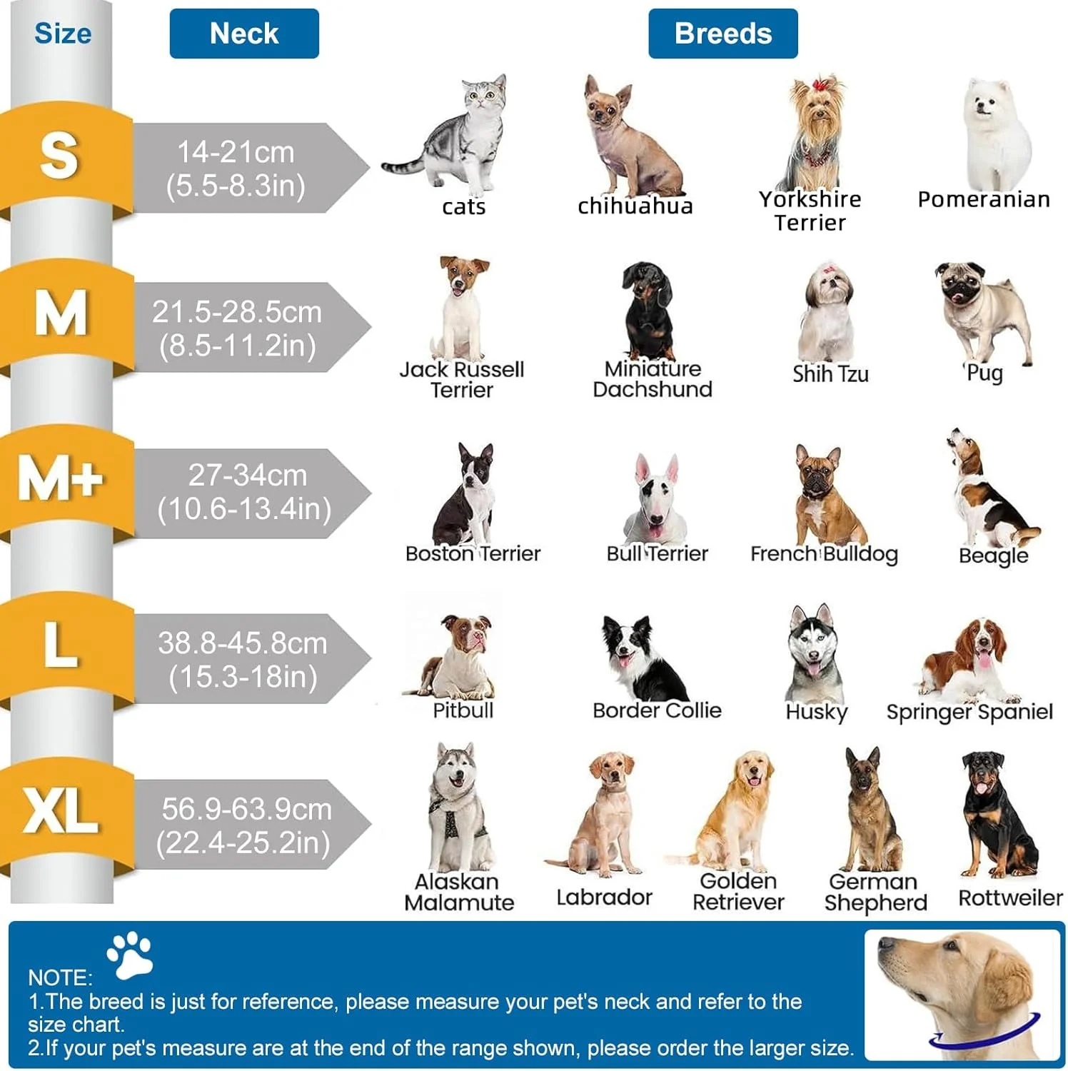 طوق گردنی بادی سگ برای بعد از جراحی، طوق الیزابت سگ 2 در 1 با محافظ جداشدنی، محافظت در برابر لیس زدن و گاز گرفتن، طوق دونات برای سگ های کوچک، متوسط و بزرگ (خاکستری، L) طوق گردنی بادی سگ برای بعد از جراحی، طوق الیزابت سگ 2 در 1 با محافظ جداشدنی، محافظت در برابر لیس زدن و گاز گرفتن، طوق دونات برای سگ های کوچک، متوسط و بزرگ (خاکستری، L)