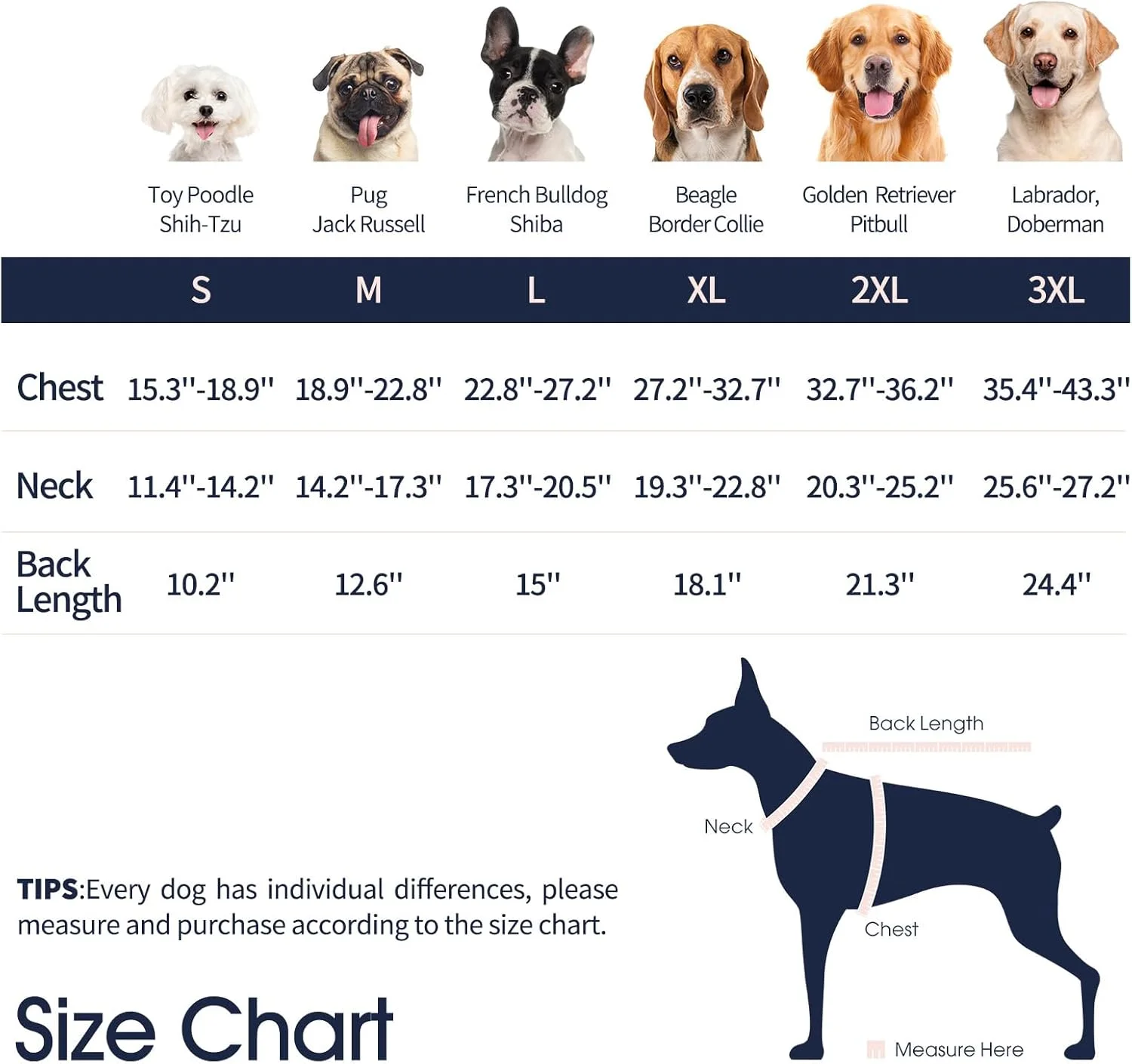 لباس نقاهت سگ، لباس یکسره سگ بعد از عمل، نرم و راحت، محافظت از زخم های شکمی و پا، لباس بعد از عمل برای جلوگیری از لیسیدن، سایز L - گل رز قرمز لباس نقاهت سگ، لباس یکسره سگ بعد از عمل، نرم و راحت، محافظت از زخم های شکمی و پا، لباس بعد از عمل برای جلوگیری از لیسیدن، سایز L - گل رز قرمز