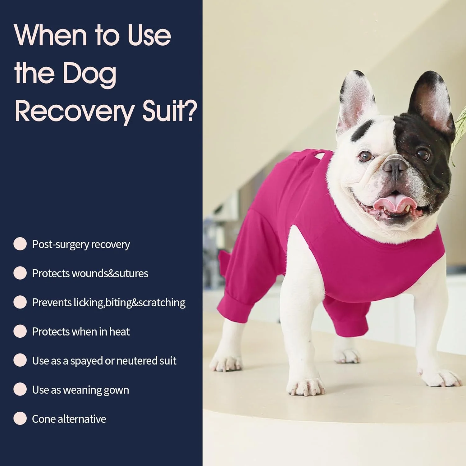 لباس نقاهت سگ، لباس یکسره سگ بعد از عمل، نرم و راحت، محافظت از زخم های شکمی و پا، لباس بعد از عمل برای جلوگیری از لیسیدن، سایز L - گل رز قرمز لباس نقاهت سگ، لباس یکسره سگ بعد از عمل، نرم و راحت، محافظت از زخم های شکمی و پا، لباس بعد از عمل برای جلوگیری از لیسیدن، سایز L - گل رز قرمز