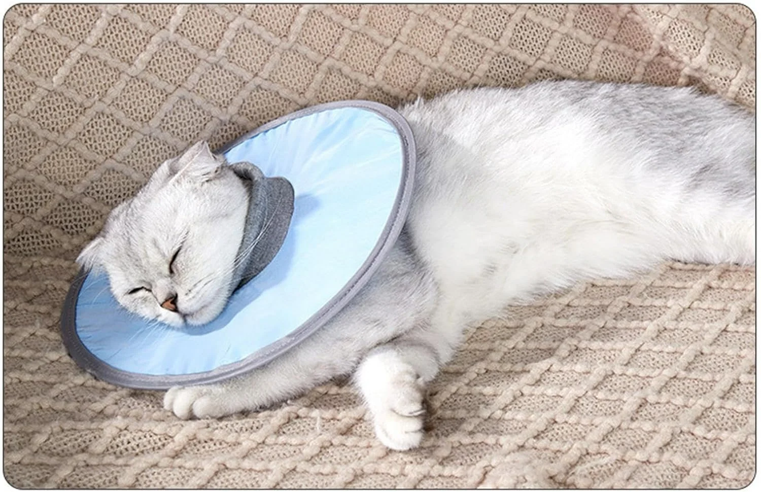طوق گردنی محافظ ضد آب گربه، طوق مخروطی سبک و قابل تنظیم حیوانات خانگی، طوق الیزابت، مناسب برای سگ ها و گربه ها بعد از جراحی برای جلوگیری از لیسیدن زخم