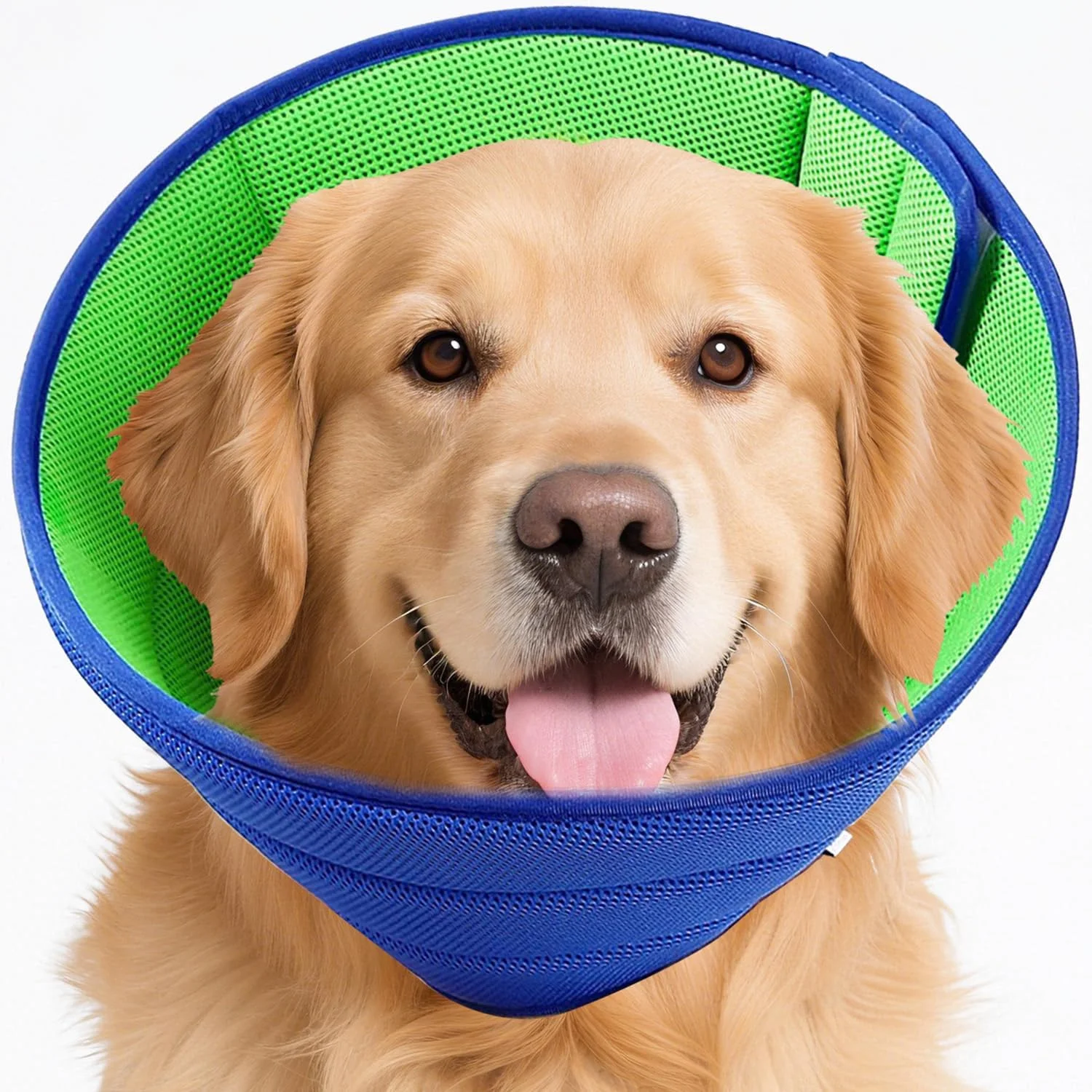 طوق گردنی نرم سگ و گربه برای بعد از جراحی - محافظت قابل تنظیم در برابر لیسیدن و گاز گرفتن، طوق گردنی راحت حیوانات خانگی برای سگ های کوچک/متوسط (آبی، سایز M) طوق گردنی نرم سگ و گربه برای بعد از جراحی - محافظت قابل تنظیم در برابر لیسیدن و گاز گرفتن، طوق گردنی راحت حیوانات خانگی برای سگ های کوچک/متوسط (آبی، سایز M)