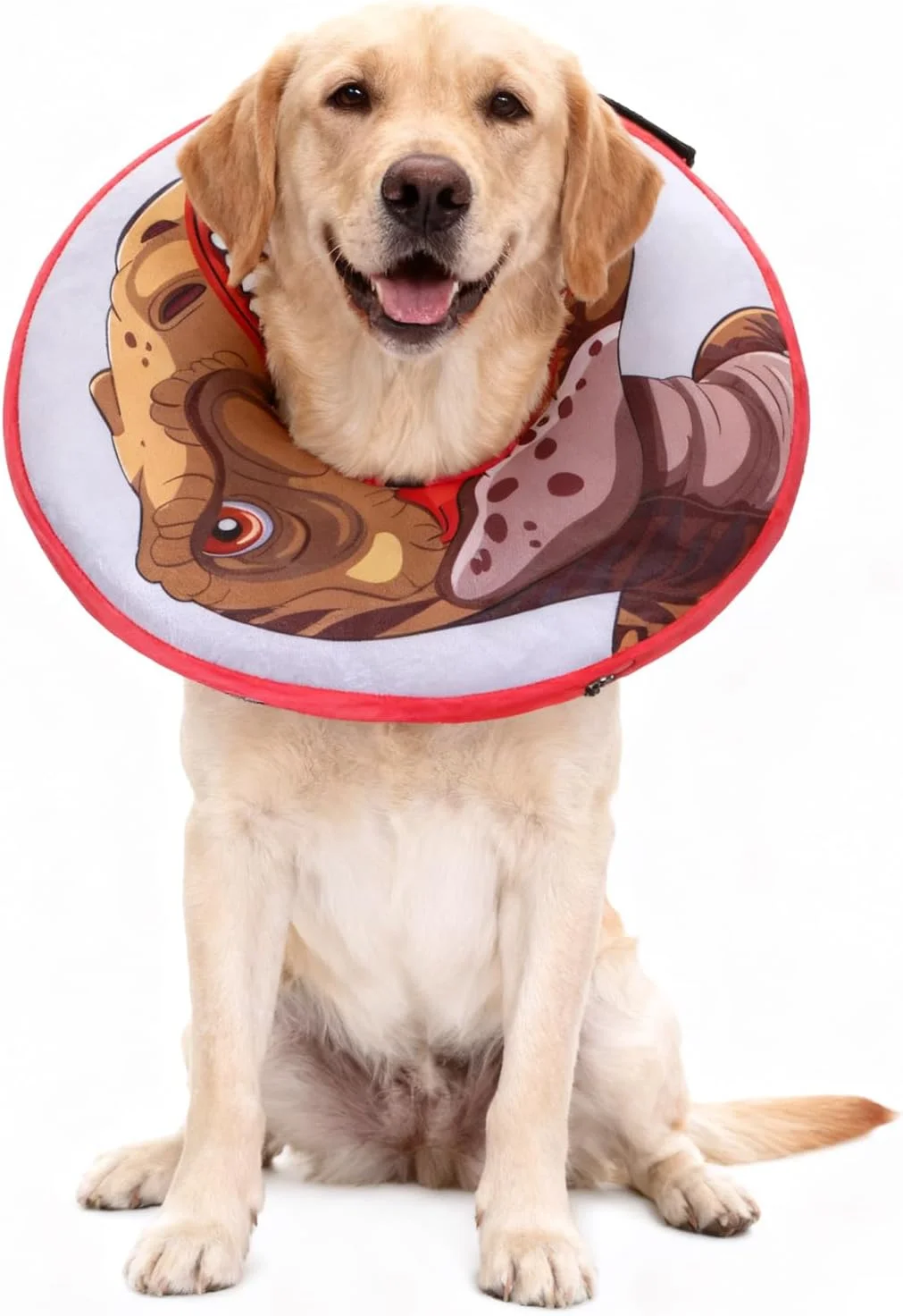 طوق گردنی بادی نرم و پهن سگ EXPAWLORER - جایگزین طوق الیزابت بادی برای جلوگیری از لیسیدن زخم، طوق محافظتی قابل تنظیم (طرح دایناسور) طوق گردنی بادی نرم و پهن سگ EXPAWLORER - جایگزین طوق الیزابت بادی برای جلوگیری از لیسیدن زخم، طوق محافظتی قابل تنظیم (طرح دایناسور)