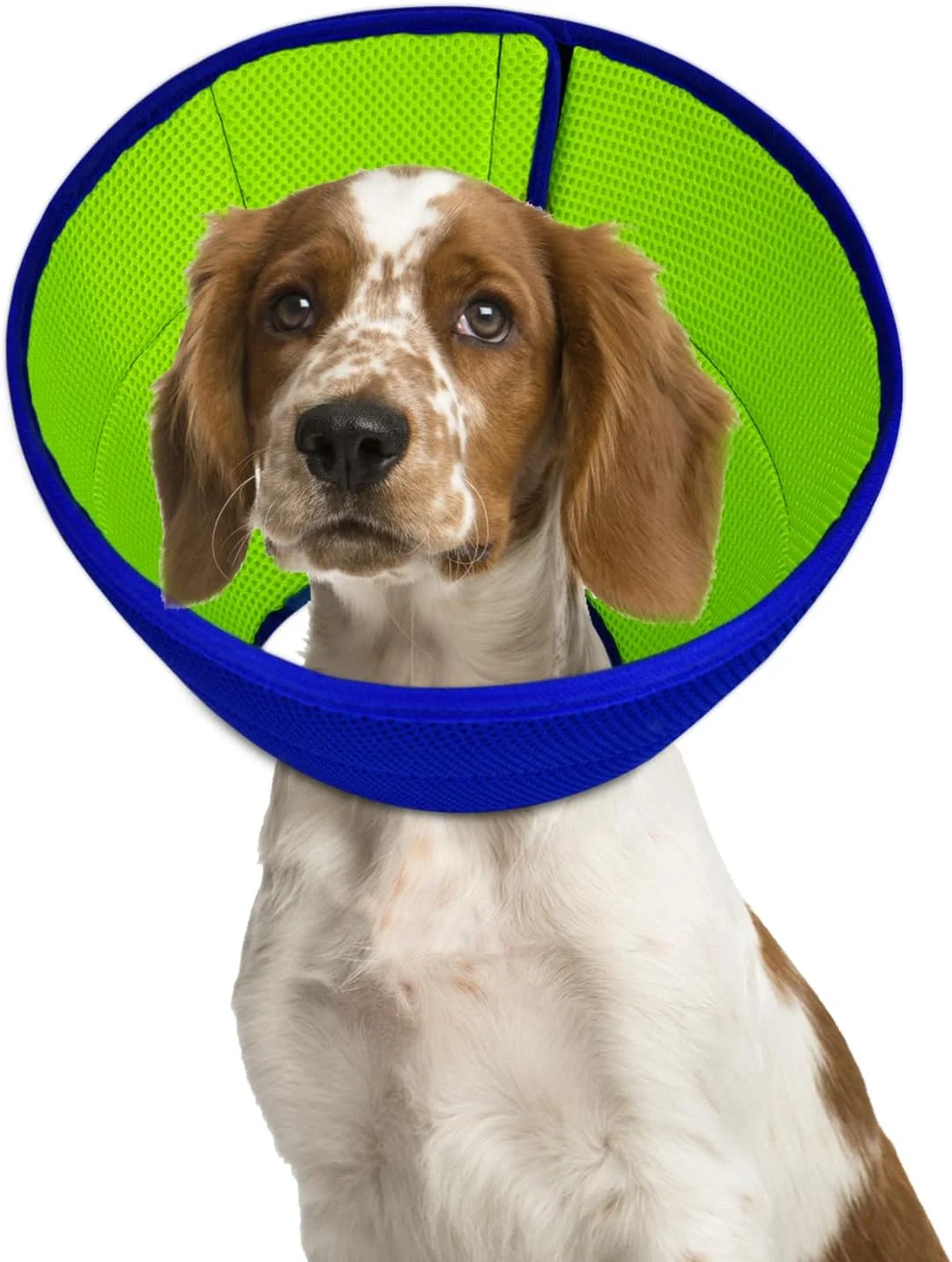 طوق گردنی نرم سگ بعد از جراحی - طوق ریکاوری قابل تنظیم برای محافظت از زخم، راحت و سبک برای سگ های متوسط