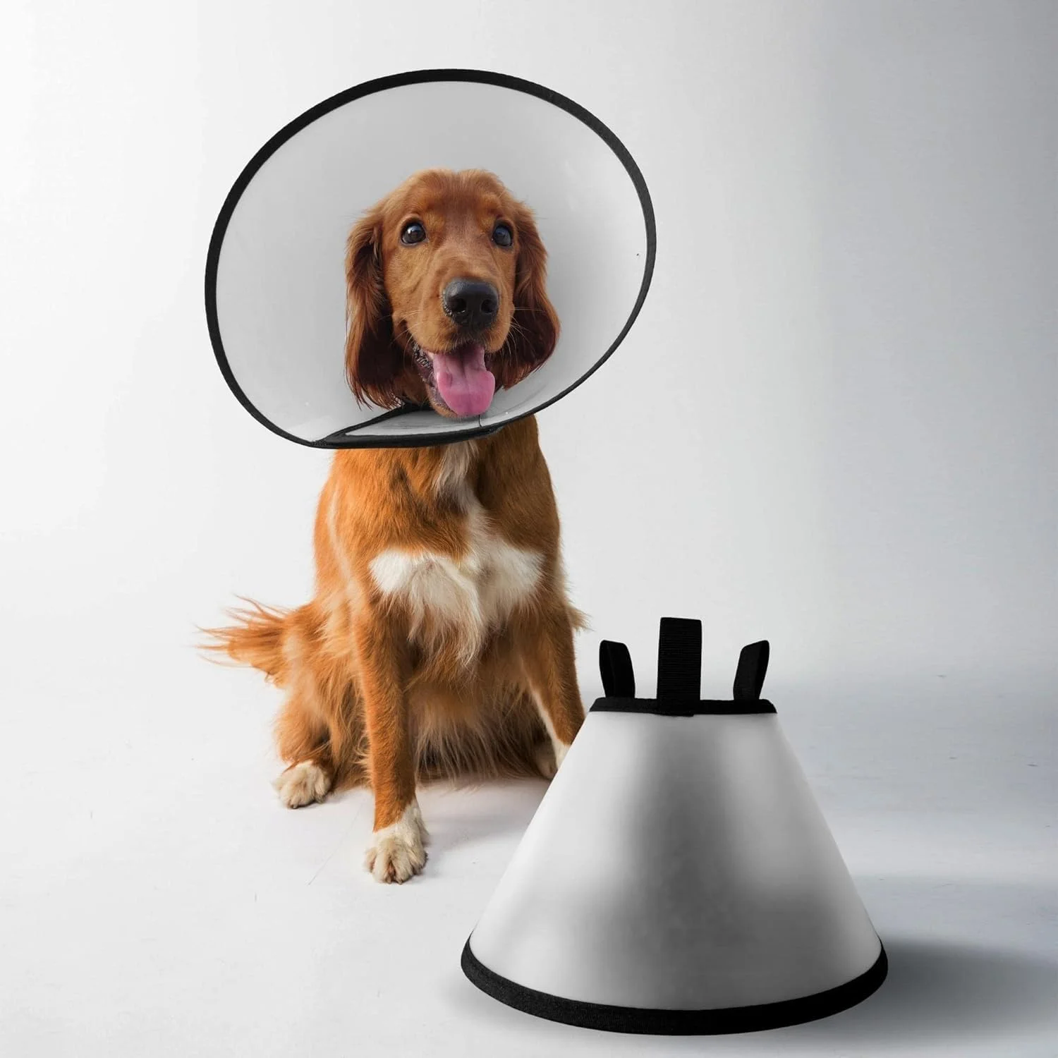 مخروطی سگ قابل تنظیم (سایز 6، کوچک) طوق محافظ پلاستیکی برای بعد از جراحی، التیام زخم، ایمنی و کاربردی