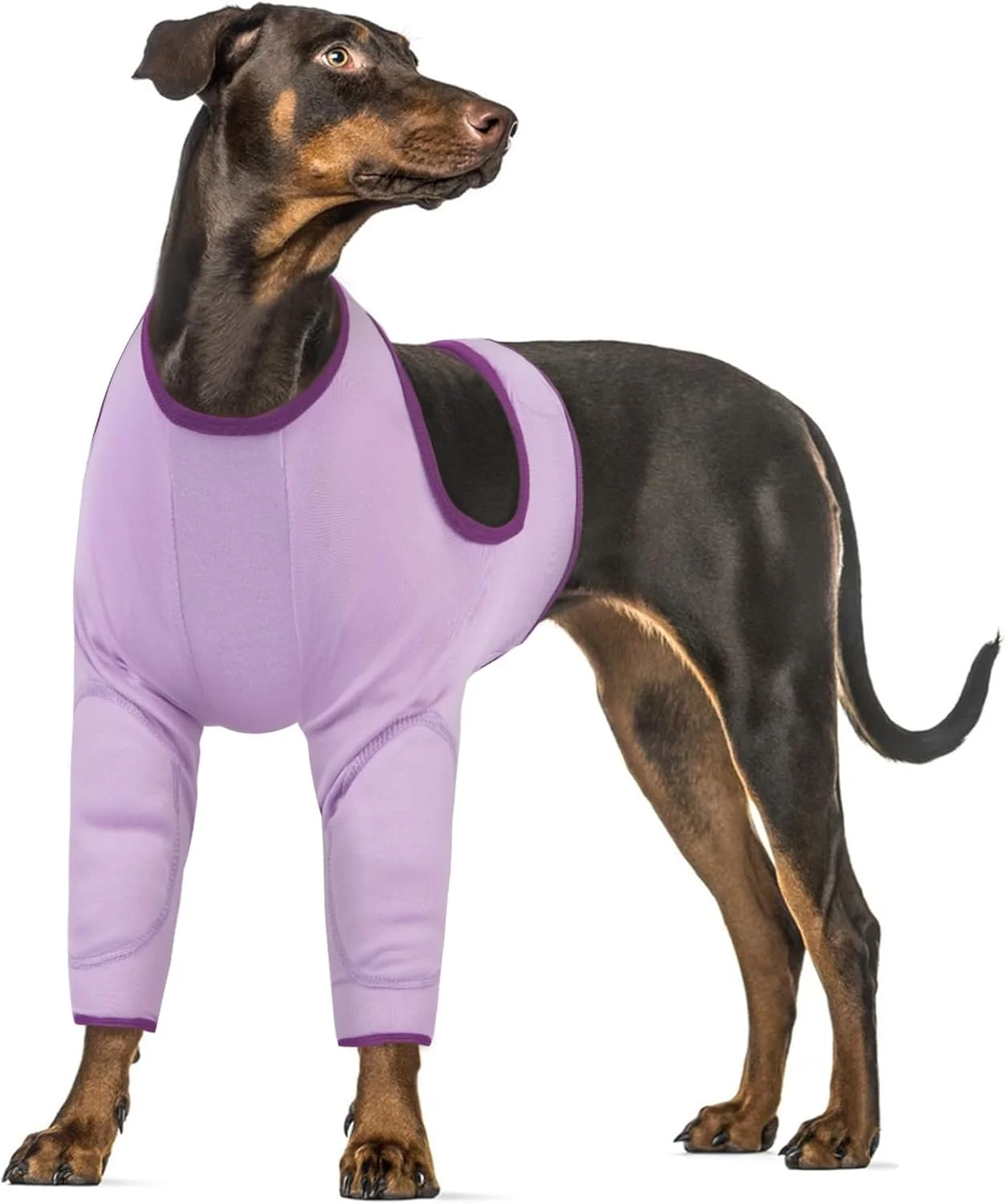 محافظ زخم پای سگ، لباس ریکاوری راحت جراحی سگ، پا بلند، زخم را تمیز و خشک نگه می دارد (بنفش، 2XL)
