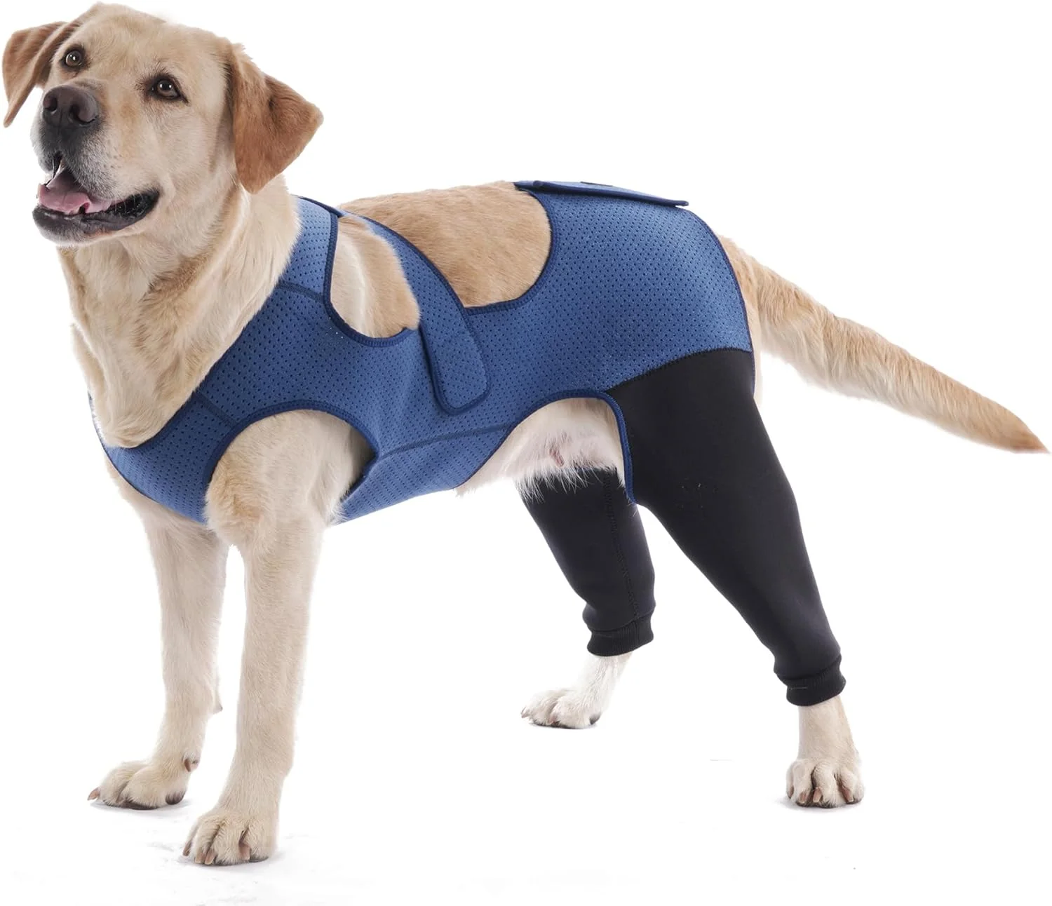 آستین محافظ سگ، لباس محافظ سگ، آستین مقاوم در برابر سایش برای پای جلویی، قابل شستشو با ضخامت 3 میلی متر و تنفس پذیر، جلوگیری از لیسیدن زخم های حیوانات خانگی، گاز گرفتن و خیس شدن (3XLarge، پای عقب هر دو طرف)