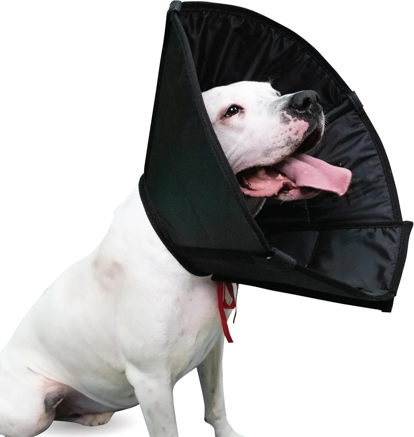 طوق گردنی سگ قابل تنظیم بعد از جراحی، طوق محافظ نرم سگ و گربه، طوق الیزابتی برای سگ ها و گربه ها، طوق گردنی راحت سگ، طوق گردنی قابل تنظیم گربه (مشکی، XXL [دور گردن: 52-62 سانتی متر])