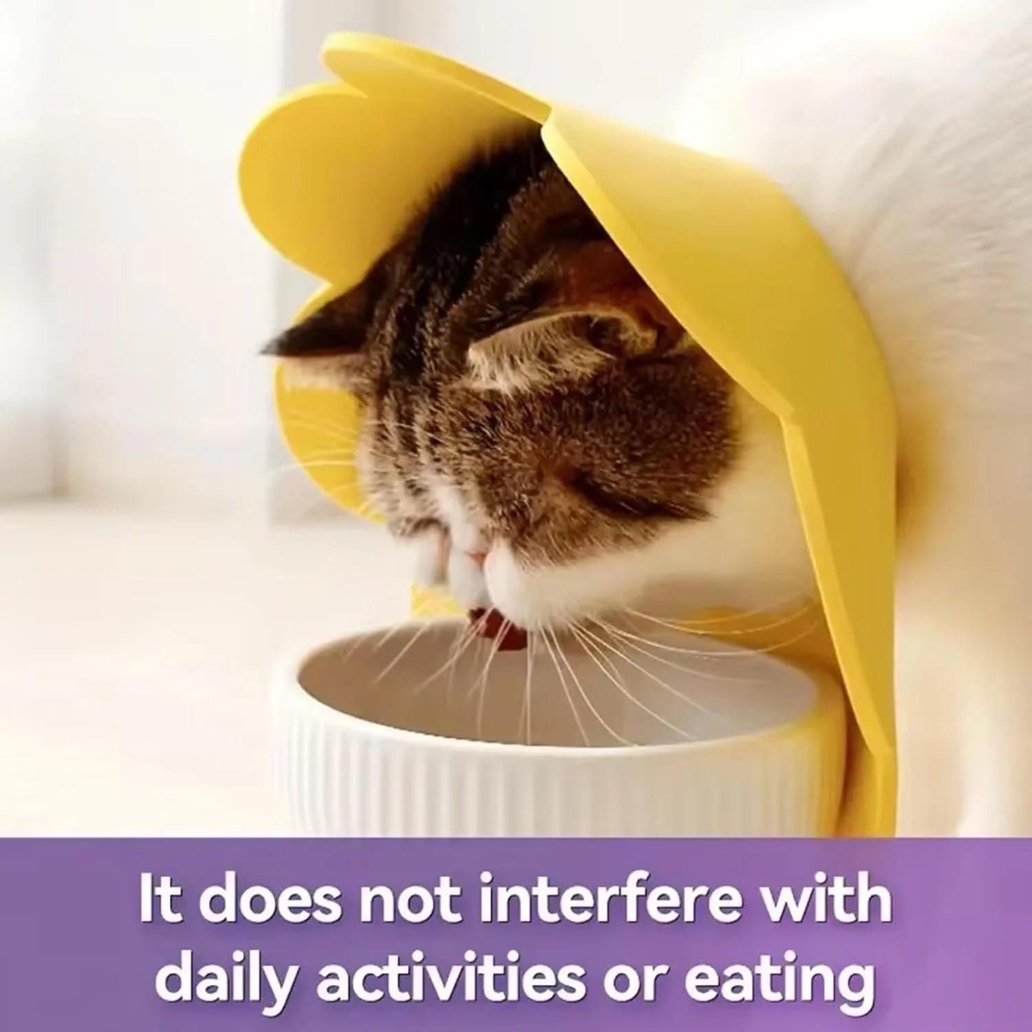 قلاده گربه، قلاده ترمیمی، قلاده گربه قابل تنظیم، قلاده نرم برای گربه ها، قلاده آفتابگردان گربه برای بعد از جراحی، برای سگ ها و گربه های کوچک قلاده گربه، قلاده ترمیمی، قلاده گربه قابل تنظیم، قلاده نرم برای گربه ها، قلاده آفتابگردان گربه برای بعد از جراحی، برای سگ ها و گربه های کوچک