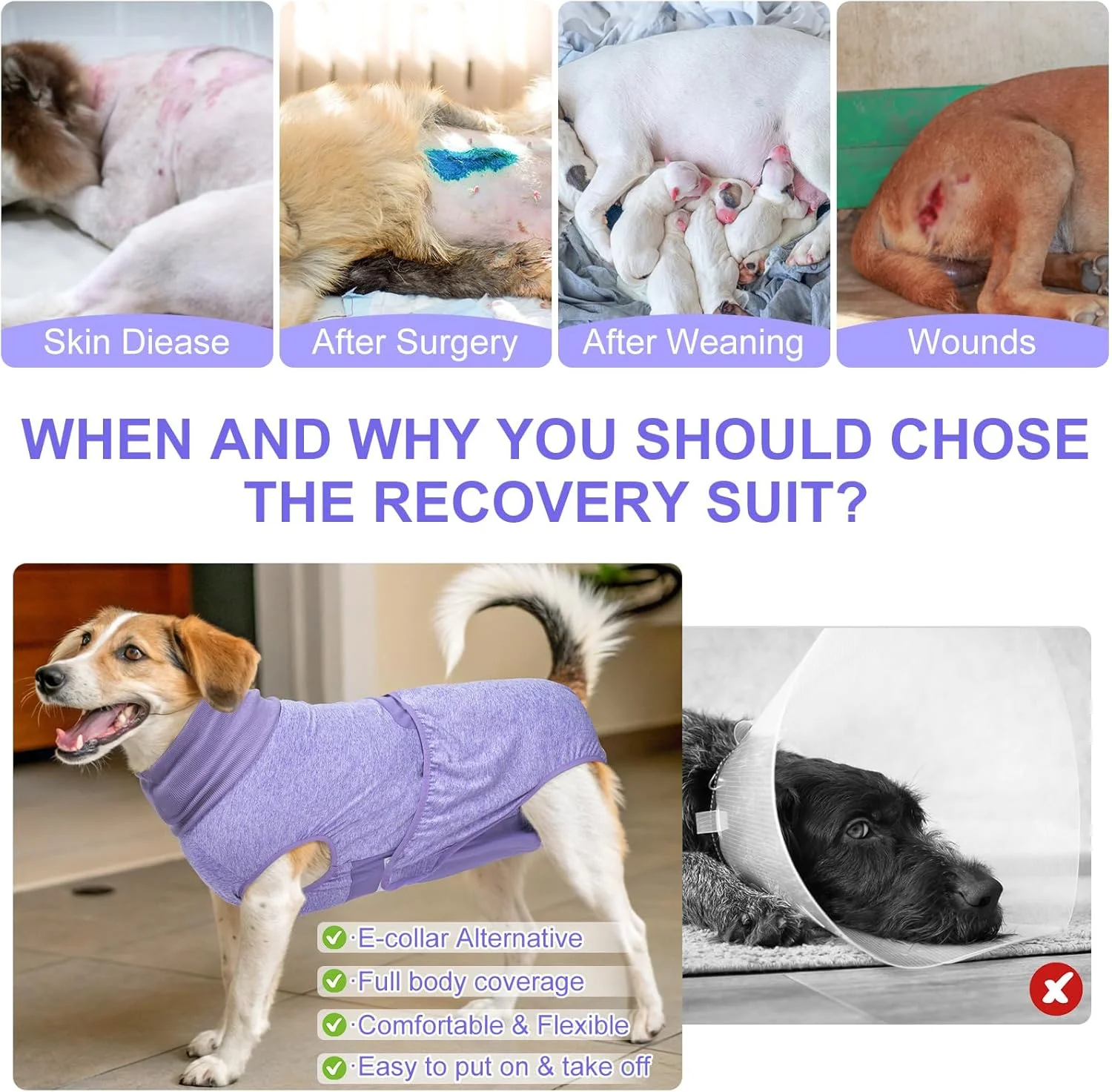لباس ریکاوری سگ بیوتی زو، لباس جراحی سگ برای عقیم سازی ماده، لباس ریکاوری جراحی سگ برای عقیم سازی نر، لباس یکسره بعد از جراحی سگ برای جلوگیری از لیسیدن زخم، جایگزین گردنبند الیزابت، بنفش سایز XXL لباس ریکاوری سگ بیوتی زو، لباس جراحی سگ برای عقیم سازی ماده، لباس ریکاوری جراحی سگ برای عقیم سازی نر، لباس یکسره بعد از جراحی سگ برای جلوگیری از لیسیدن زخم، جایگزین گردنبند الیزابت، بنفش سایز XXL