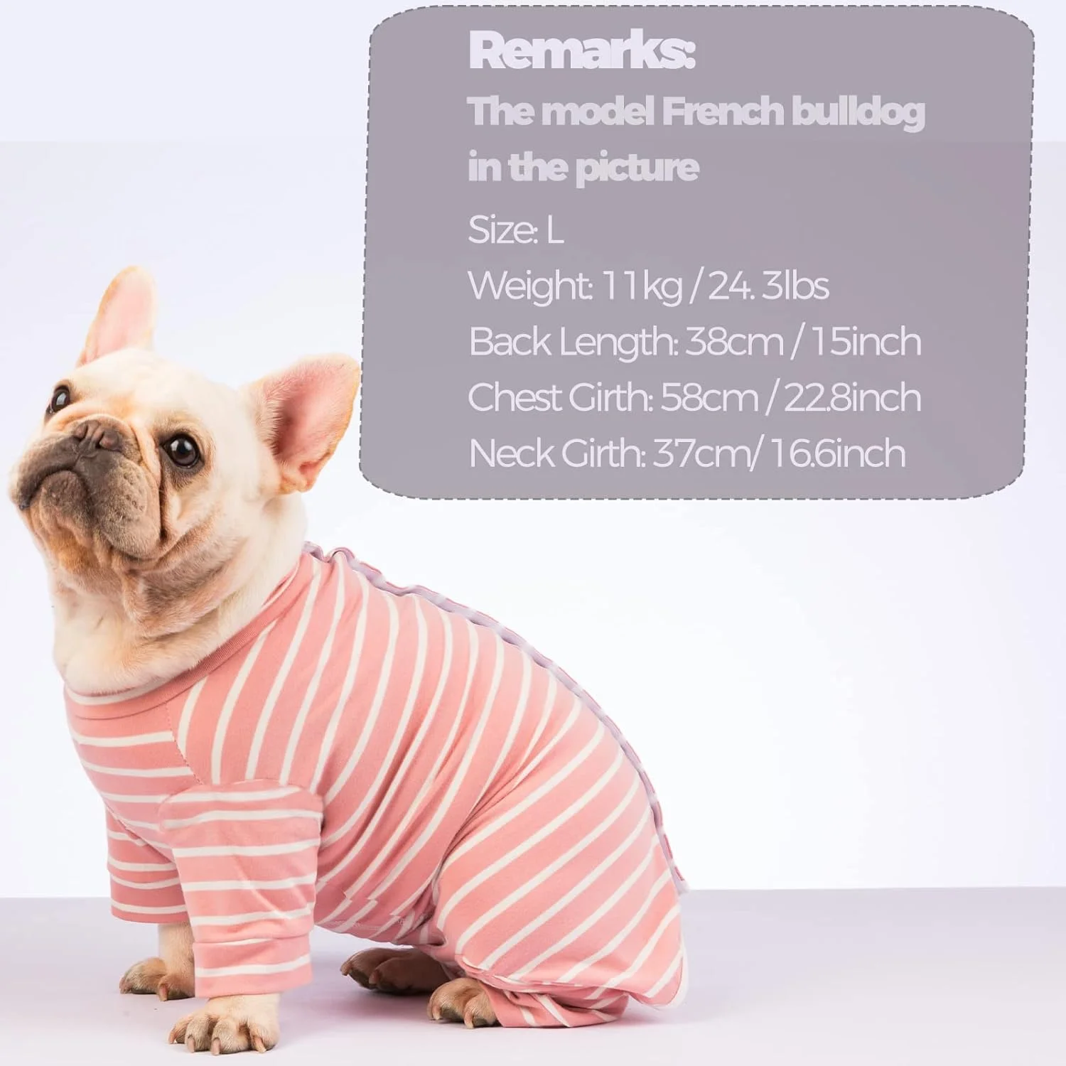 لباس نقاهت جراحی سگ - لباس یکسره گربه و توله سگ برای محافظت از ریزش مو، بیماری پوستی و زخم، لباس جراحی پزشکی حیوانات خانگی با آستین بلند، لباس خواب سگ (صورتی، بزرگ) لباس نقاهت جراحی سگ - لباس یکسره گربه و توله سگ برای محافظت از ریزش مو، بیماری پوستی و زخم، لباس جراحی پزشکی حیوانات خانگی با آستین بلند، لباس خواب سگ (صورتی، بزرگ)