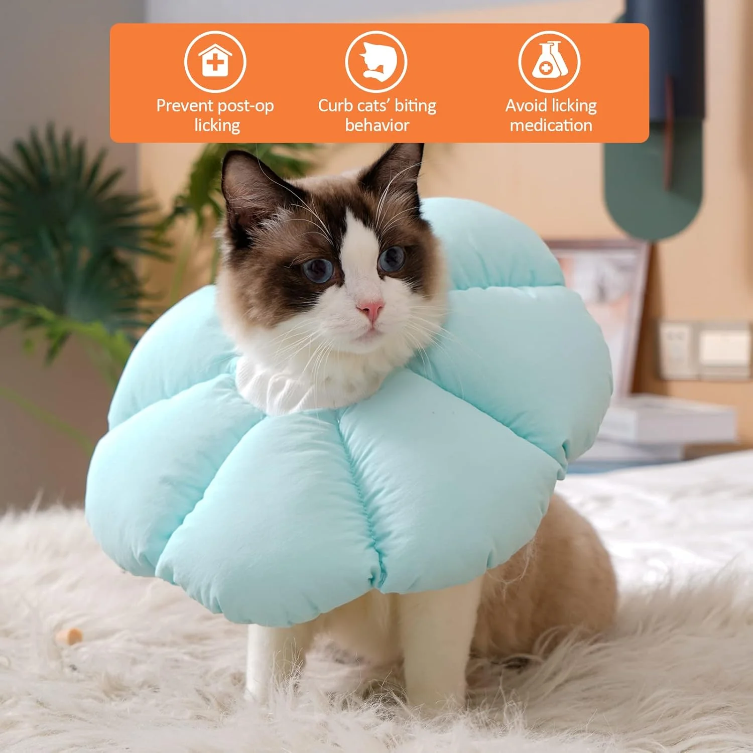 طوق گربه Avont، بچه گربه، مخروطی توله سگ، جایگزین نرم بالش ریکاوری بعد از جراحی، حیوان خانگی زیبا - آبی سایز S