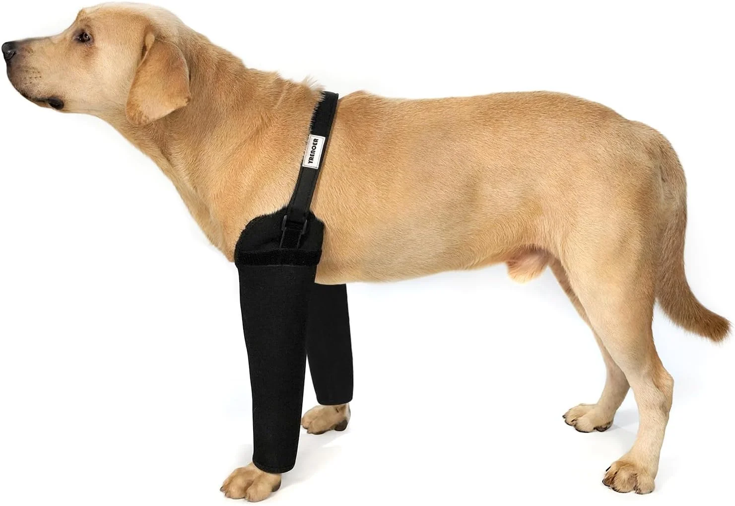 آستین ریکاوری سگ - جایگزین طوق الیزابت، ضخامت 2.5 میلی متر، ضد آب، مقاوم در برابر سایش، قابل شستشو، جلوگیری از لیسیدن و گاز گرفتن، زخم ها را خشک نگه می دارد و امکان استفاده 24 ساعته را فراهم می کند (مشکی، 3XL) آستین ریکاوری سگ - جایگزین طوق الیزابت، ضخامت 2.5 میلی متر، ضد آب، مقاوم در برابر سایش، قابل شستشو، جلوگیری از لیسیدن و گاز گرفتن، زخم ها را خشک نگه می دارد و امکان استفاده 24 ساعته را فراهم می کند (مشکی، 3XL)