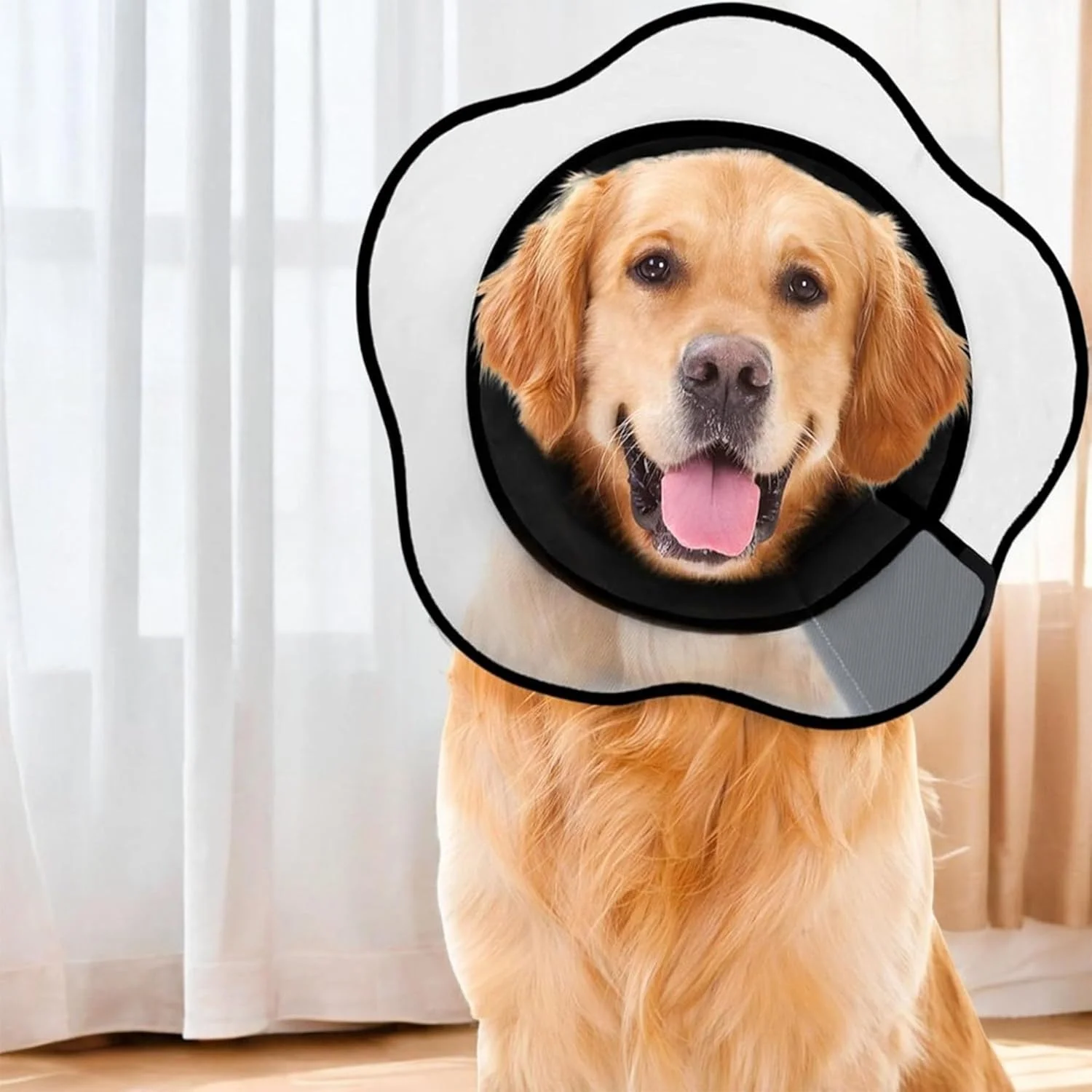 طوق محافظ سگ یومینگ، طوق محافظ نرم، طوق ریکاوری قابل تنظیم، گردنبند الیزابتی برای حیوانات خانگی، بعد از جراحی، زخم ها، جلوگیری از گاز گرفتن و لیسیدن زخم، سایز XL