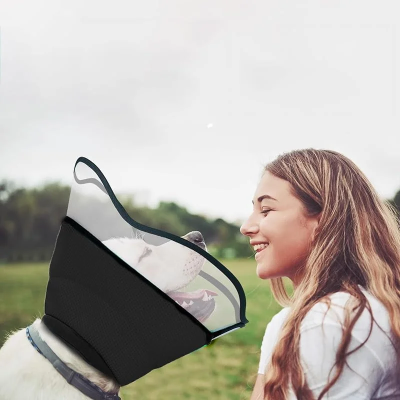 طوق محافظ سگ یومینگ، طوق محافظ نرم، طوق ریکاوری قابل تنظیم، گردنبند الیزابتی برای حیوانات خانگی، بعد از جراحی، زخم ها، جلوگیری از گاز گرفتن و لیسیدن زخم، سایز XL