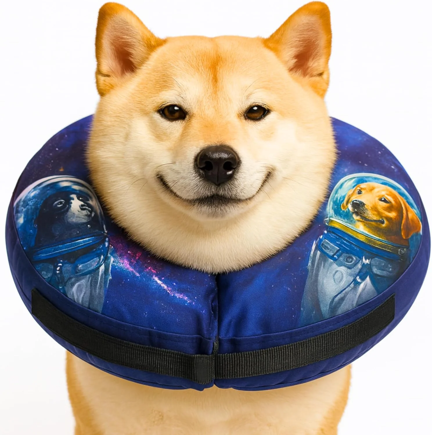 طوق گردنی بادی نرم سگ – جایگزینی برای مخروطی بعد از جراحی سگ – طوق گردنی راحت برای جلوگیری از لیسیدن – طوق الیزابتی برای بهبود بعد از جراحی طوق گردنی بادی نرم سگ – جایگزینی برای مخروطی بعد از جراحی سگ – طوق گردنی راحت برای جلوگیری از لیسیدن – طوق الیزابتی برای بهبود بعد از جراحی