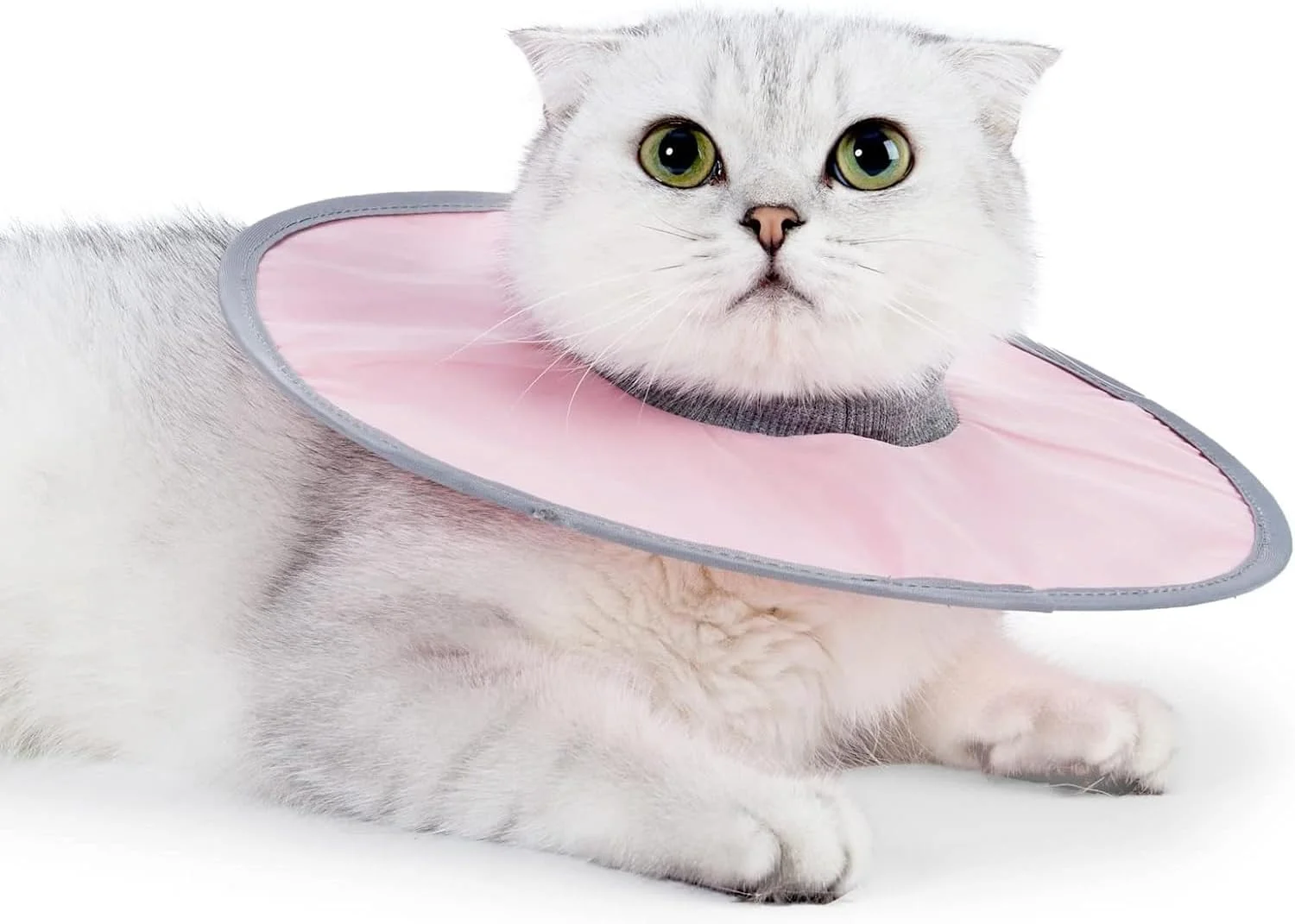 طوق گردنی التیام زخم گربه ضد آب فنری X، طوق های الیزابتی سبک وزن، طوق مخروطی حیوانات خانگی، مناسب برای گربه ها، سگ های کوچک، توله سگ، طوق محافظ گردن گربه قابل تنظیم (صورتی) طوق گردنی التیام زخم گربه ضد آب فنری X، طوق های الیزابتی سبک وزن، طوق مخروطی حیوانات خانگی، مناسب برای گربه ها، سگ های کوچک، توله سگ، طوق محافظ گردن گربه قابل تنظیم (صورتی)