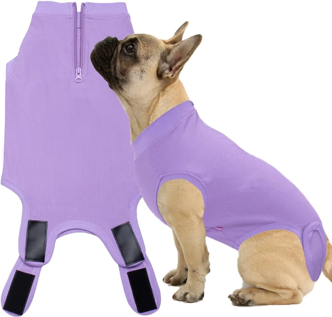 لباس نقاهت جراحی سگ، لباس بعد از عمل برای سگ و گربه های کوچک، لباس یکسره بنفش XS لباس نقاهت جراحی سگ، لباس بعد از عمل برای سگ و گربه های کوچک، لباس یکسره بنفش XS