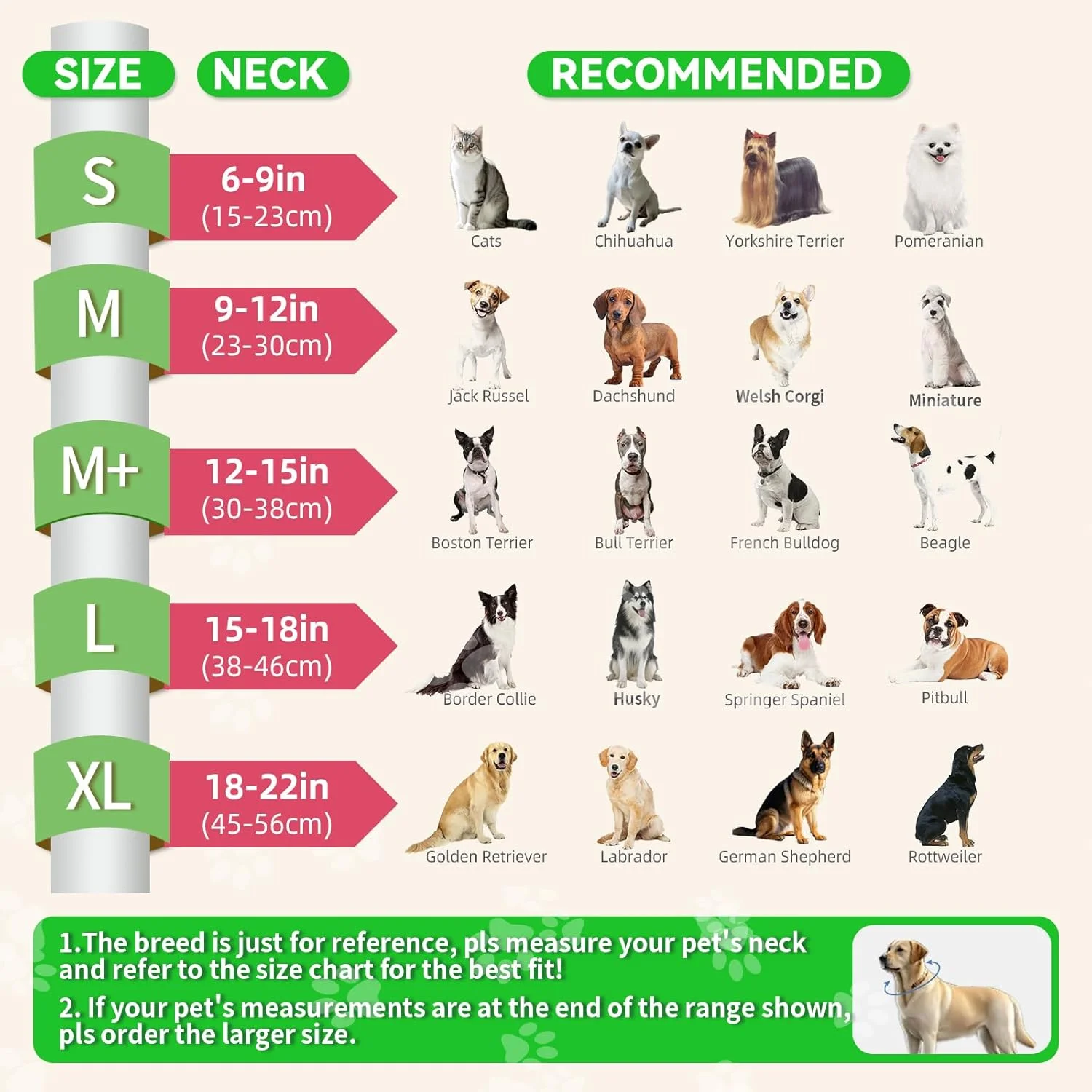 طوق بادی سگ ارتقا یافته با محافظ ضد لیسیدن شفاف، طوق الیزابتی قابل تنظیم برای سگ های بزرگ متوسط، طراحی 2 در 1 با محافظ جداشدنی و لایه نرم (M+، هندوانه) طوق بادی سگ ارتقا یافته با محافظ ضد لیسیدن شفاف، طوق الیزابتی قابل تنظیم برای سگ های بزرگ متوسط، طراحی 2 در 1 با محافظ جداشدنی و لایه نرم (M+، هندوانه)