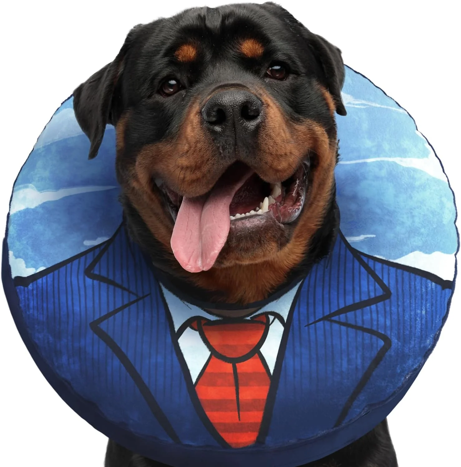 طوق گردنی بزرگ سگ - جایگزین بادی قیف سگ برای دوران نقاهت بعد از جراحی. طوق های گردنی سگ برای سگ های بزرگ. طوق های بادی سگ برای بعد از جراحی. طوق نرم سگ