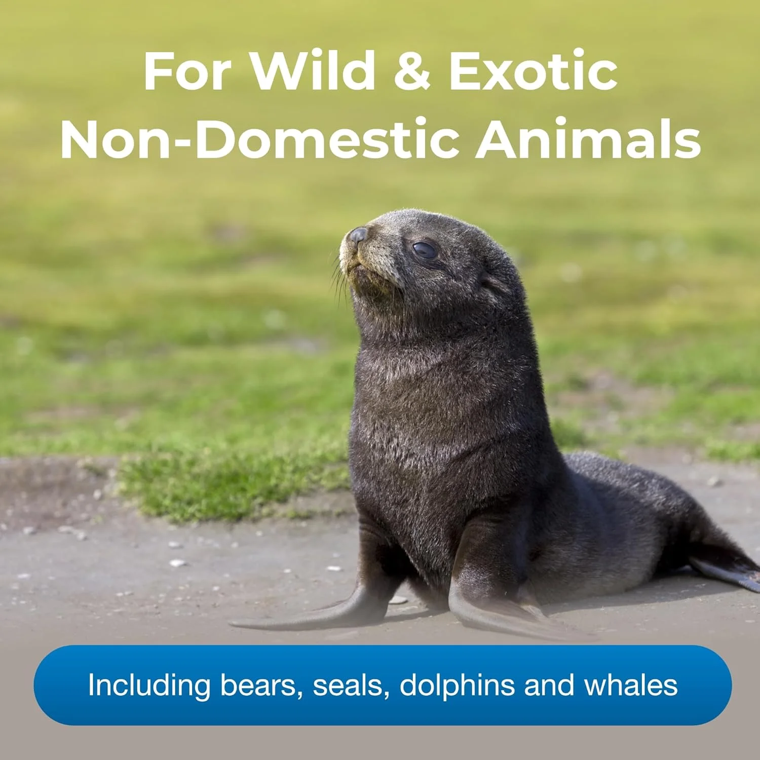 جایگزین شیر پتاگ زولوژیک میلک ماتریکس 33/40 - جایگزین شیر - مطابق با شیر تقریباً هر پستاندار - 5 پوند جایگزین شیر پتاگ زولوژیک میلک ماتریکس 33/40 - جایگزین شیر - مطابق با شیر تقریباً هر پستاندار - 5 پوند