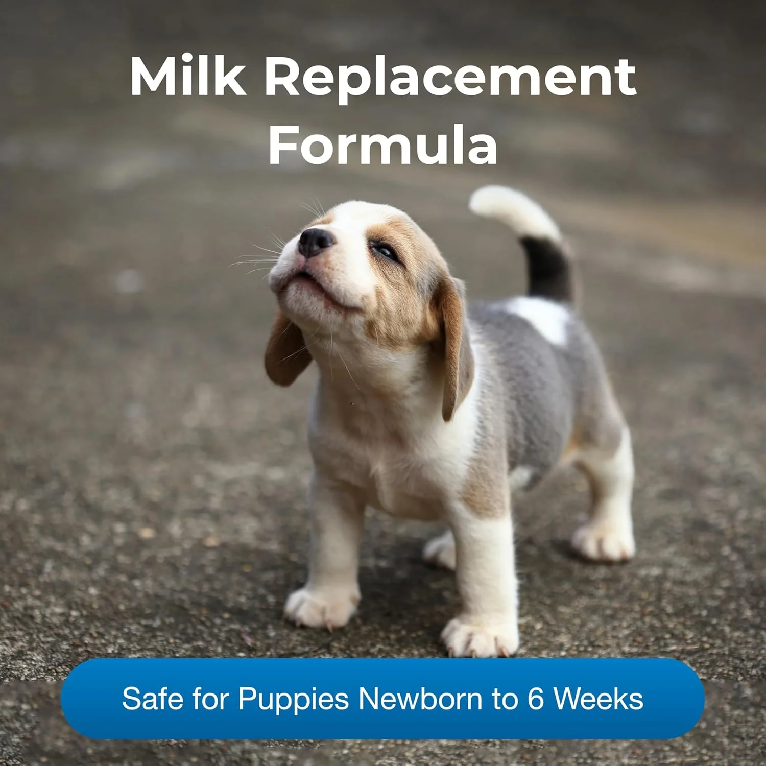 مایع پت‌لاک برای توله سگ‌ها، ۹۴۶ میلی‌لیتر