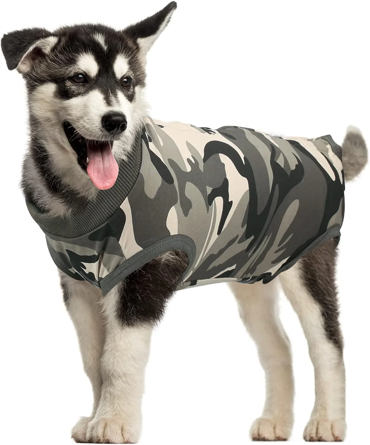 لباس ریکاوری سگ MI CASA، لباس بعد از جراحی سگ ماده، لباس یکسره سگ برای جراحی، جلیقه جراحی سگ نر، جایگزین قلاده های ریکاوری (استتار، XL)