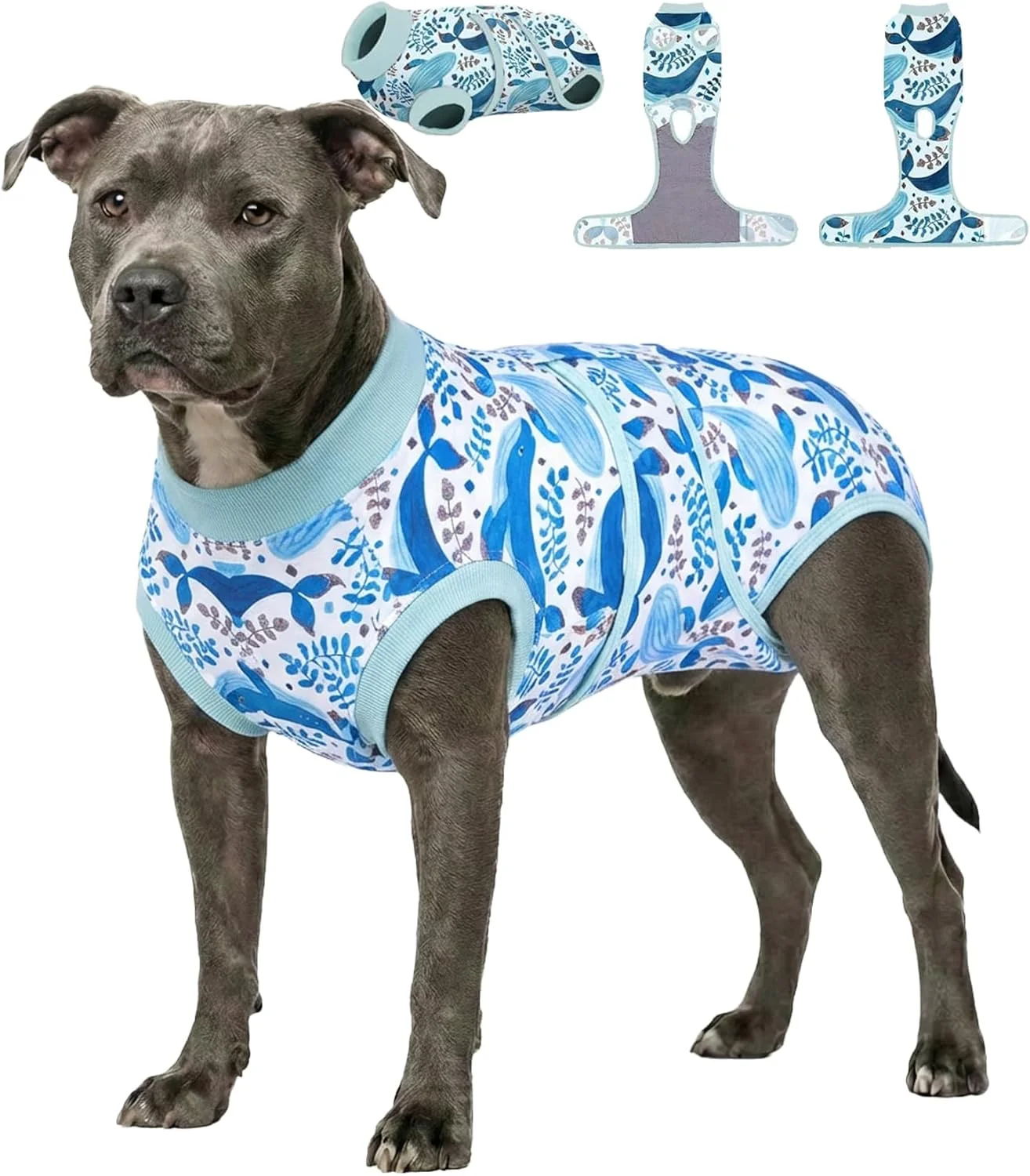 لباس ریکاوری سگ PetWarm بعد از جراحی، جایگزین قیف ننگ، لباس ریکاوری جراحی ضد لیسیدن حیوانات خانگی، لباس یکسره سگ نر و ماده برای عقیم سازی، طرح حیوانات دریایی، آبی، 2XL