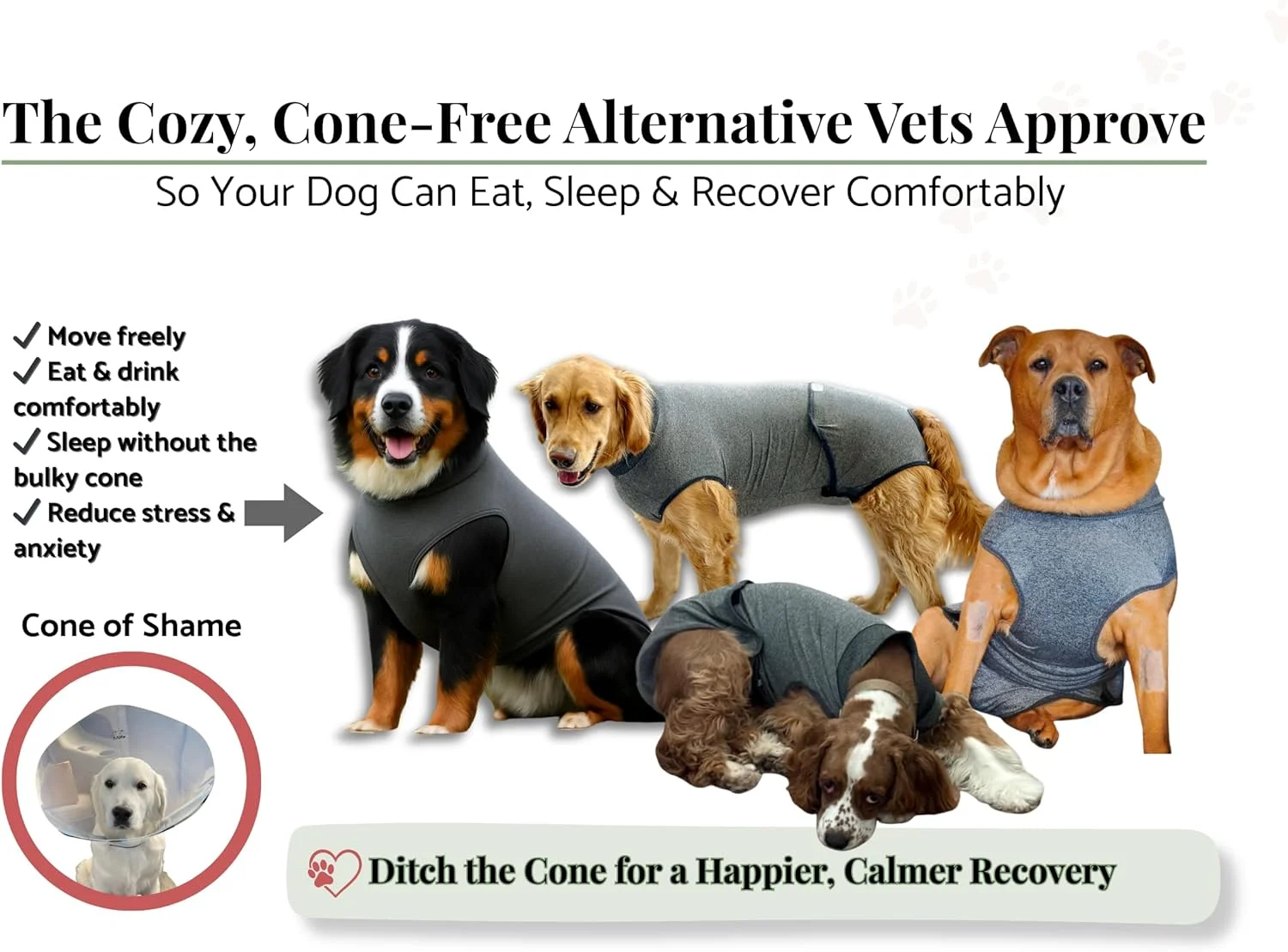 (2) لباس ریکاوری سگ با پدهای ضد آب - لباس جراحی سگ برای بهبودی بعد از عمل - لباس ریکاوری سگ بعد از جراحی با پارچه کشسان 4 طرفه و چسبی - خاکستری متوسط (2) لباس ریکاوری سگ با پدهای ضد آب - لباس جراحی سگ برای بهبودی بعد از عمل - لباس ریکاوری سگ بعد از جراحی با پارچه کشسان 4 طرفه و چسبی - خاکستری متوسط